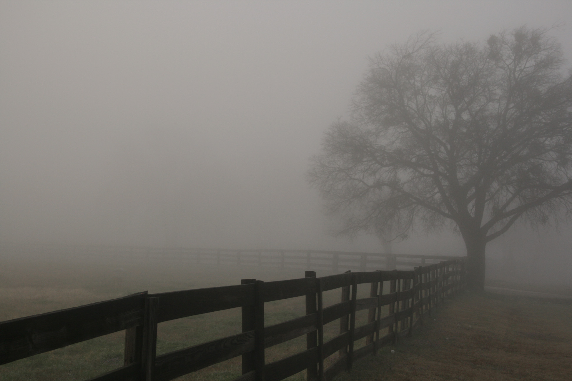 Baixe gratuitamente a imagem Terra/natureza, Neblina na área de trabalho do seu PC