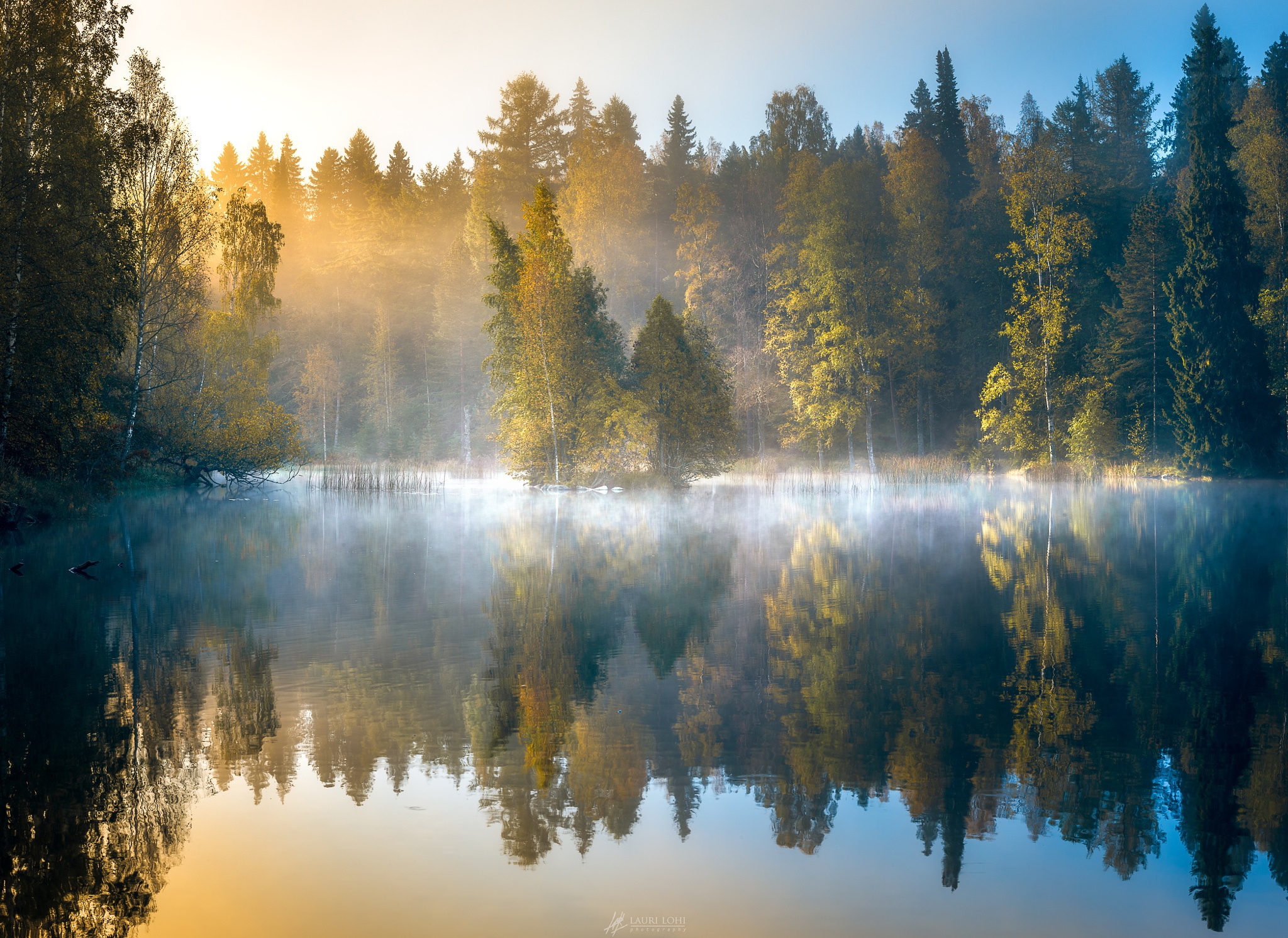 Free download wallpaper Nature, Reflection, Forest, Tree, Fog, Earth on your PC desktop