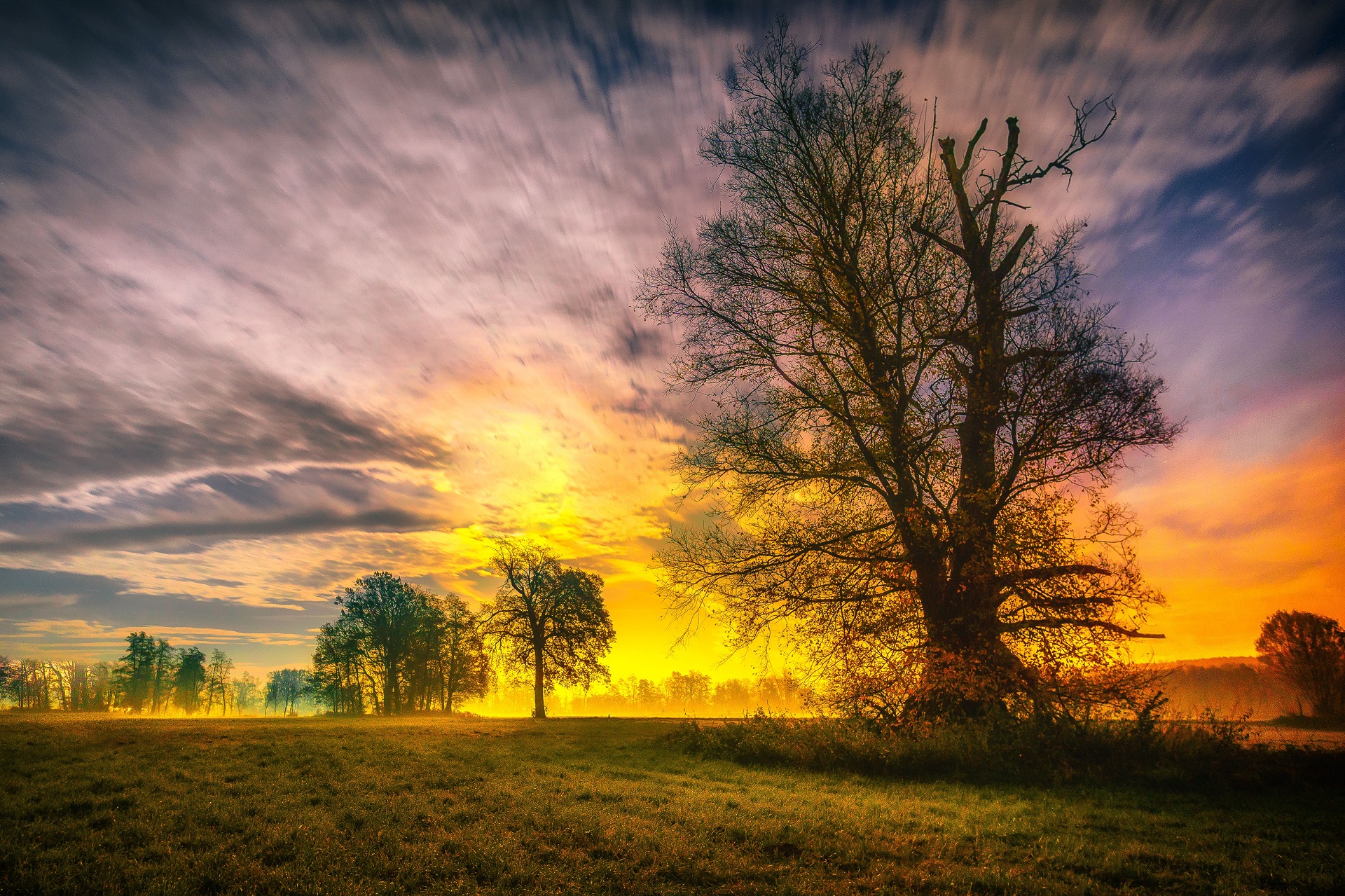 Handy-Wallpaper Natur, Bäume, Baum, Sonnenuntergang, Erde/natur kostenlos herunterladen.