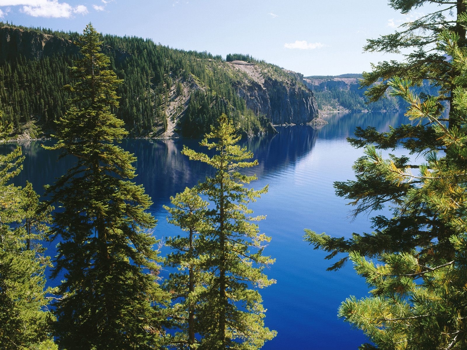 無料モバイル壁紙風景, 山脈, モミの木, 湖をダウンロードします。