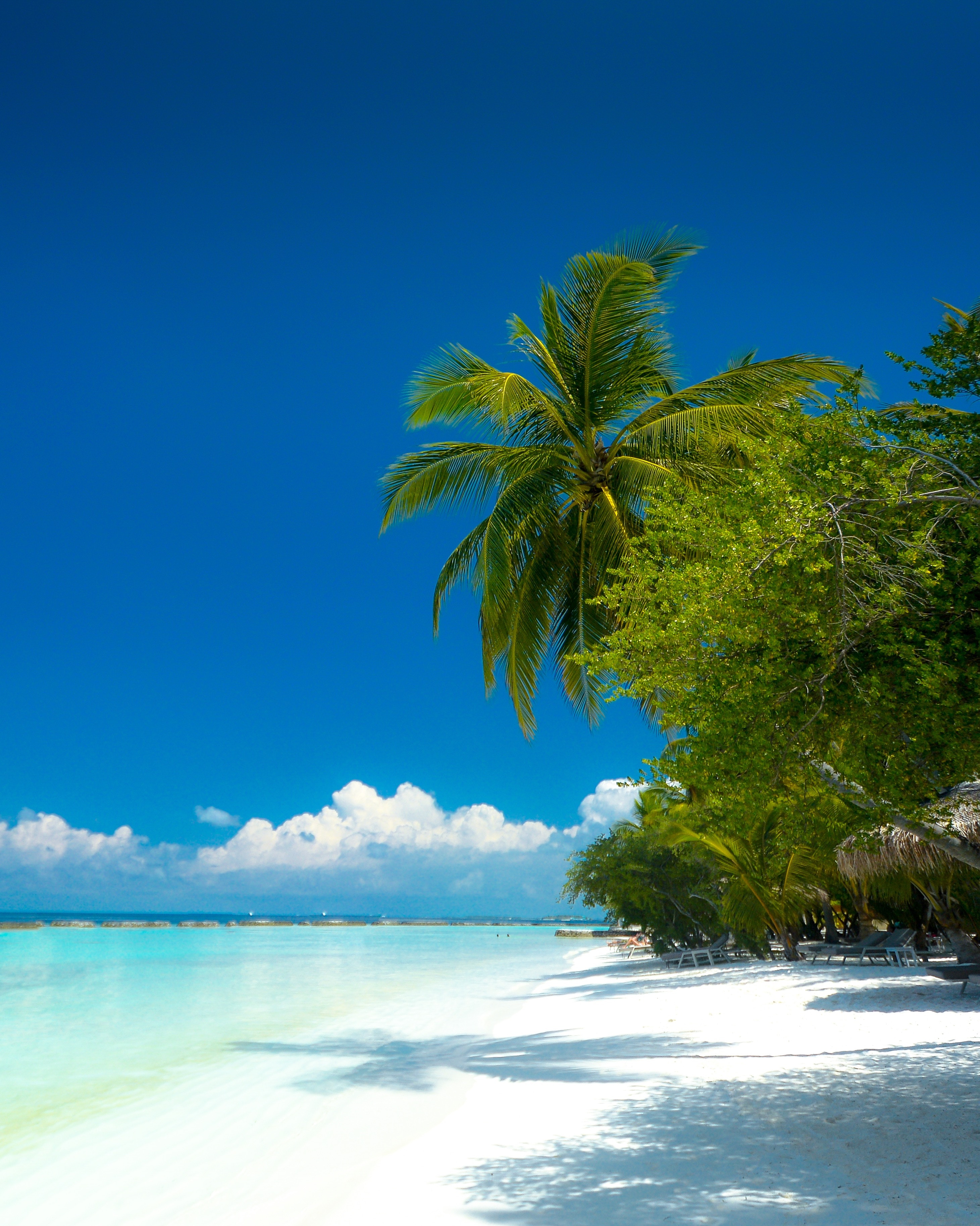 121312 скачать обои природа, пляж, океан, рай, пальмы, тропики, побережье - заставки и картинки бесплатно