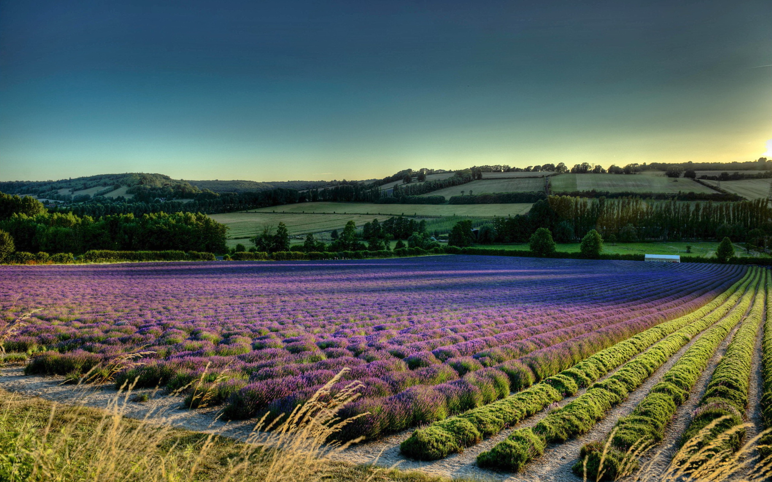 Téléchargez gratuitement l'image Paysage, Terre/nature sur le bureau de votre PC