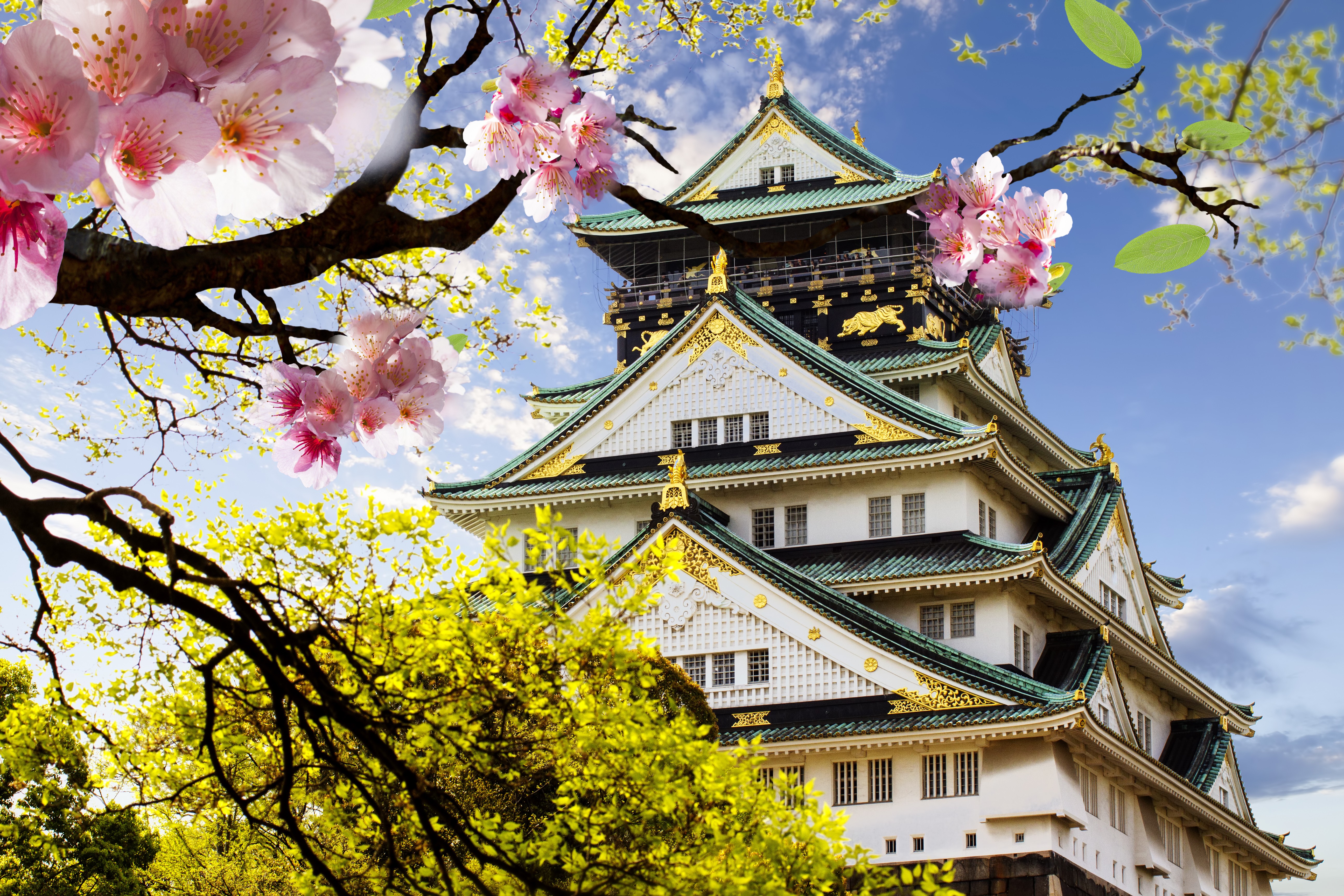 379311 завантажити шпалери замки, створено людиною, замок, вишневий цвіт, японія, пагода - заставки і картинки безкоштовно