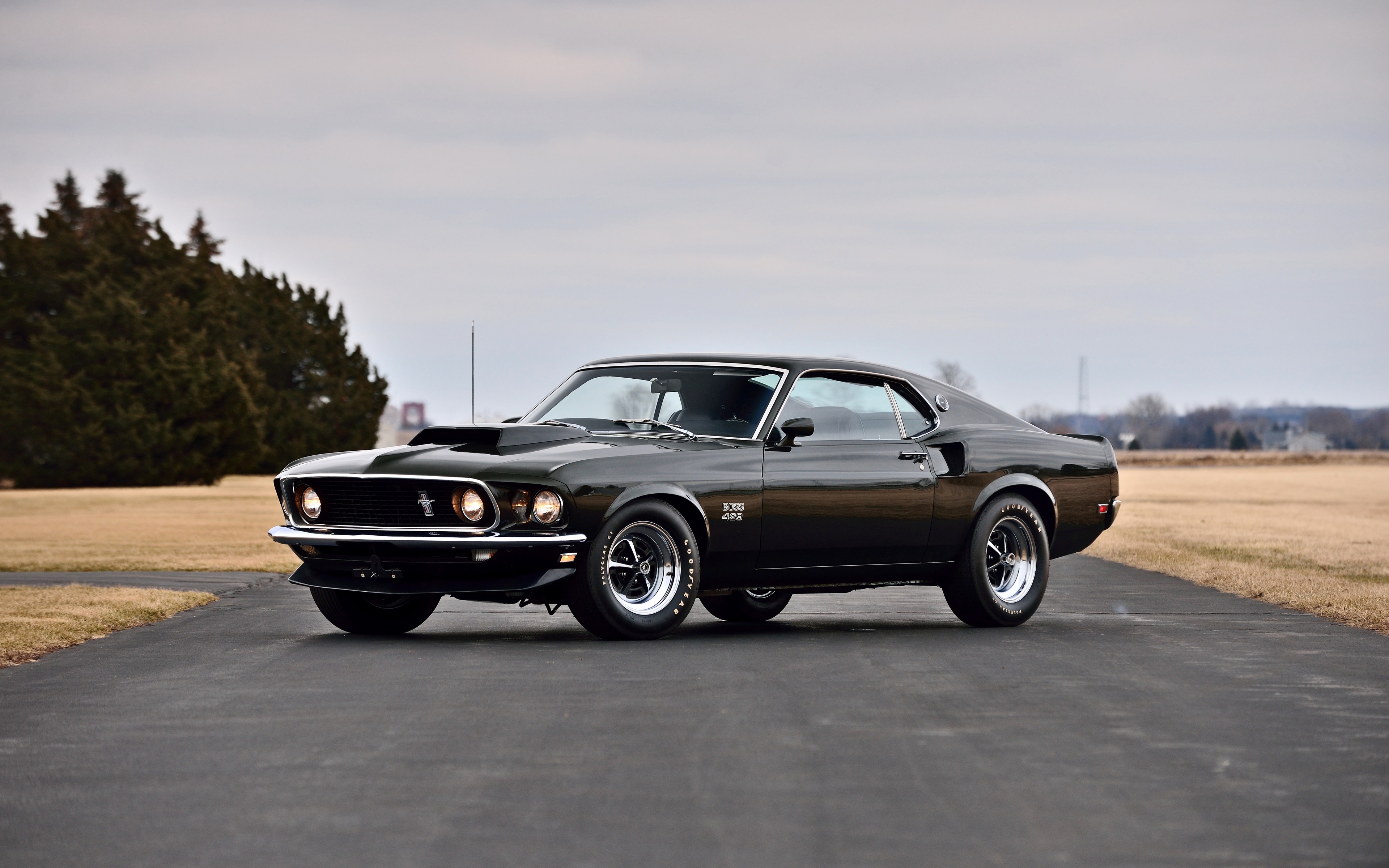 ford mustang boss 429, vehicles, black car, car, fastback, muscle car, ford