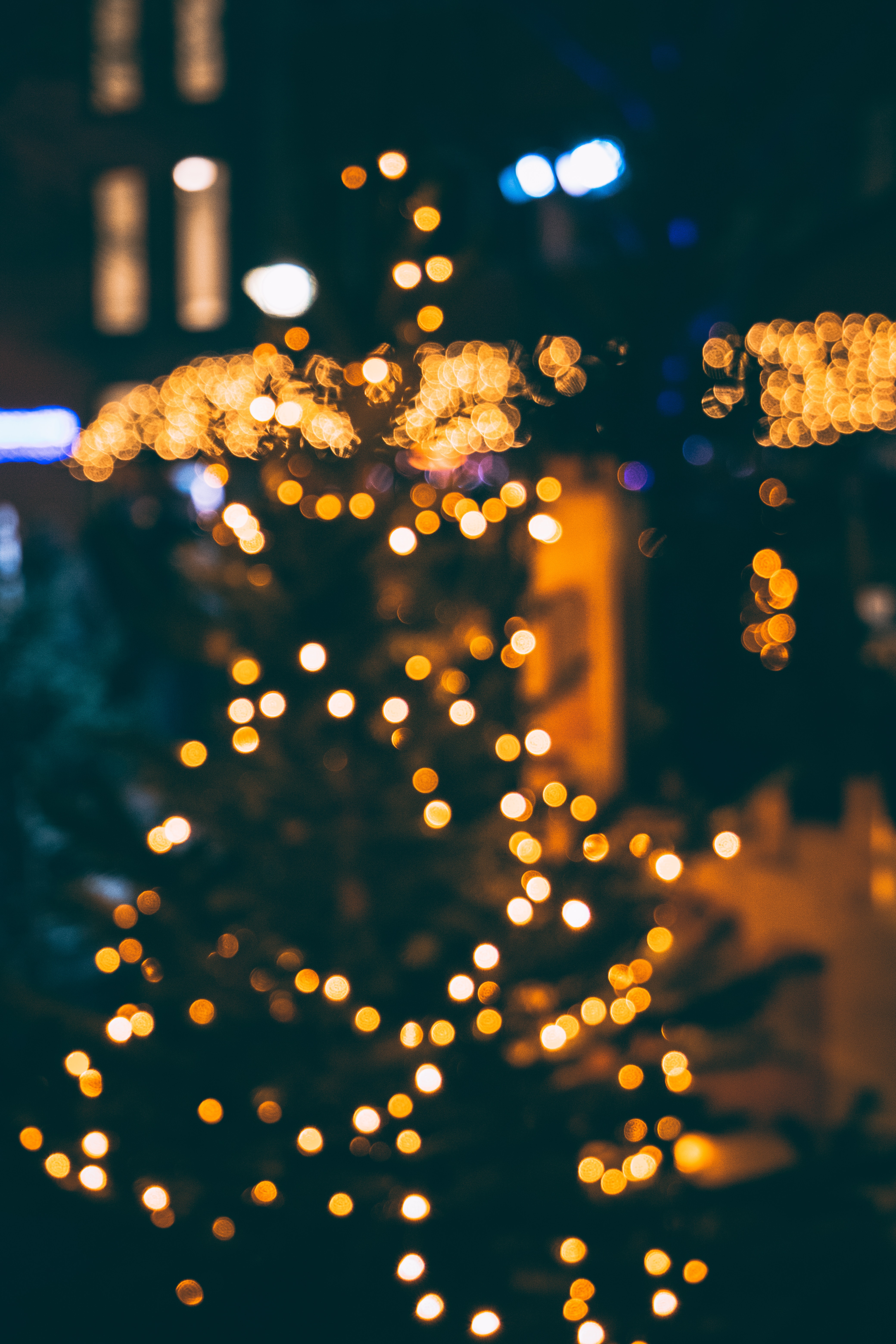 holidays, new year, lights, glare, christmas tree, bokeh, boquet, festive