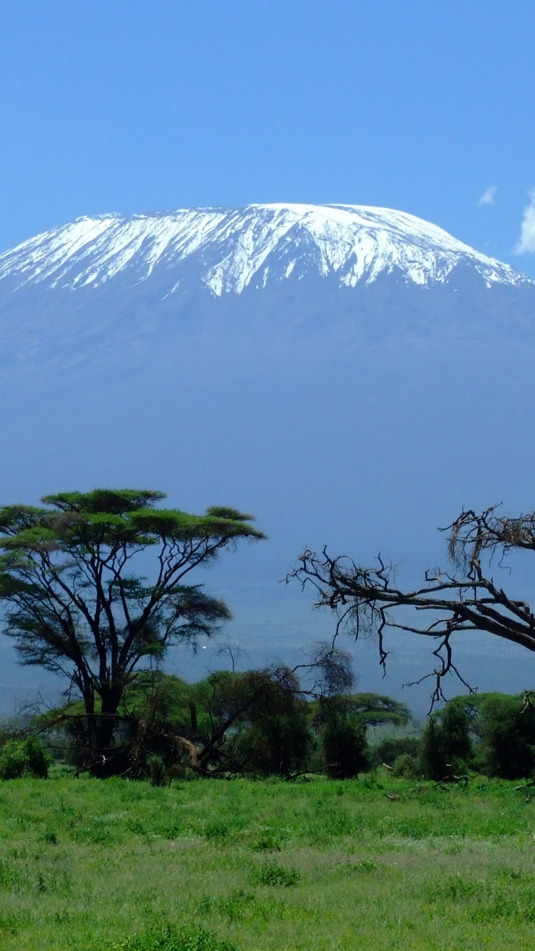 Handy-Wallpaper Landschaft, Natur, Baum, Erde, Vulkan, Afrika, Erde/natur, Der Kilimandscharo, Kilimandscharo kostenlos herunterladen.