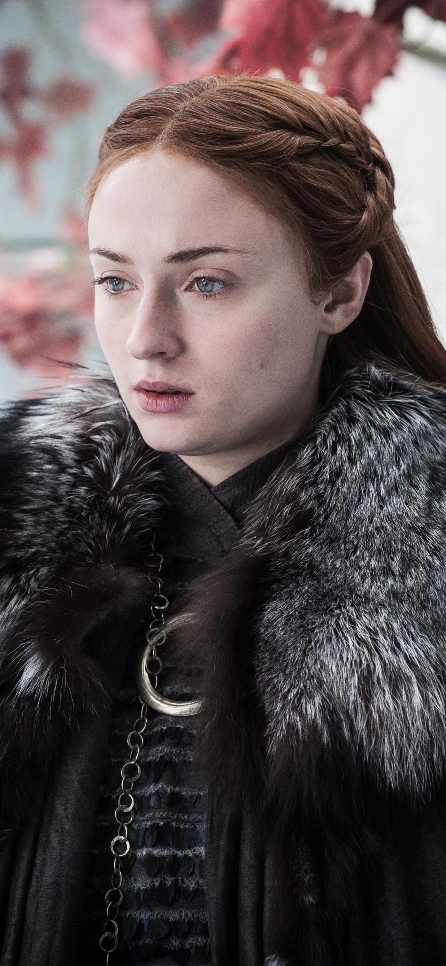 Baixar papel de parede para celular de Programa De Tv, A Guerra Dos Tronos, Sansa Stark, Sophie Turner gratuito.