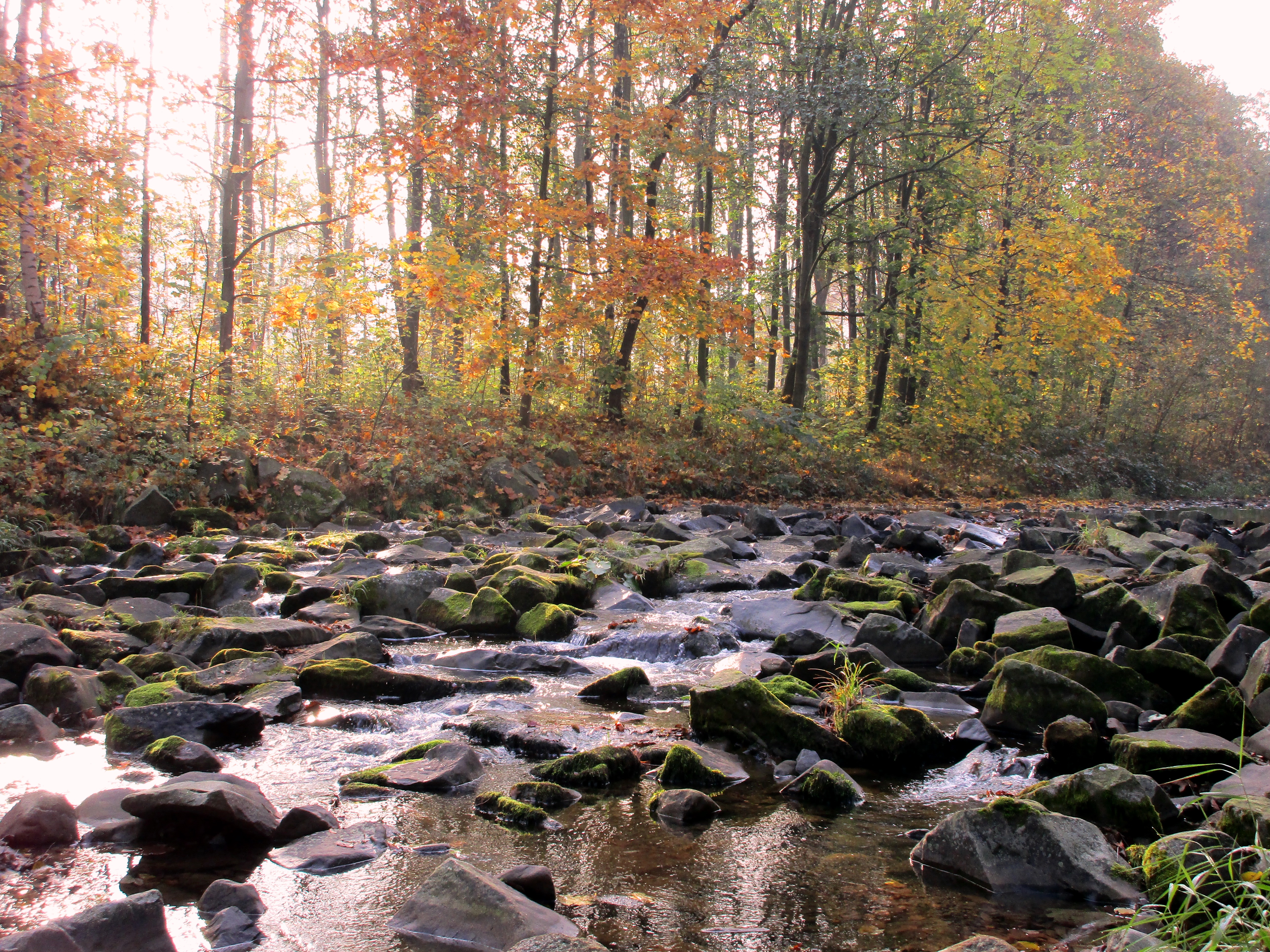 Download mobile wallpaper Fall, Earth, River for free.