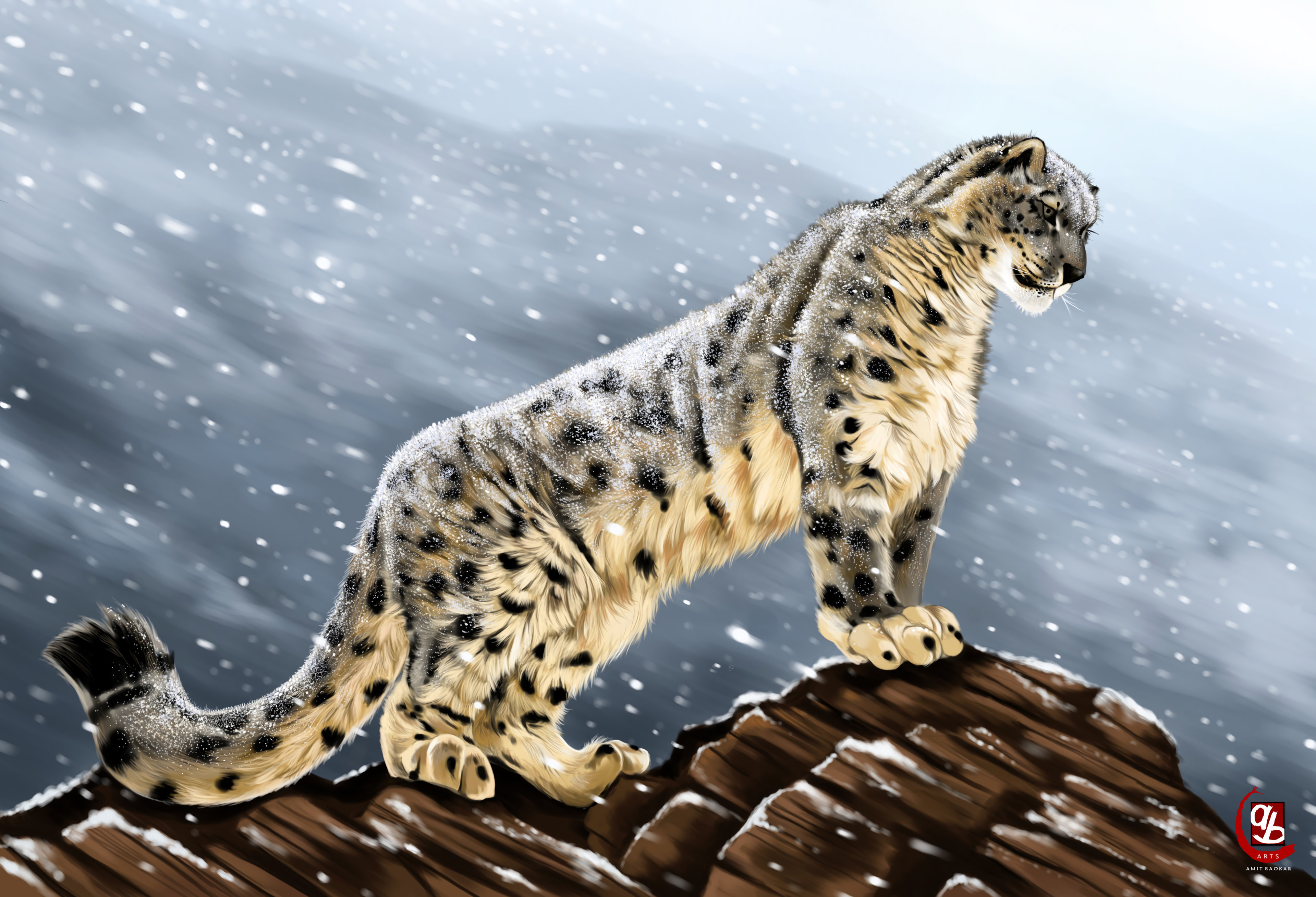 snow leopard, stones, art, predator, big cat, sight, opinion Full HD