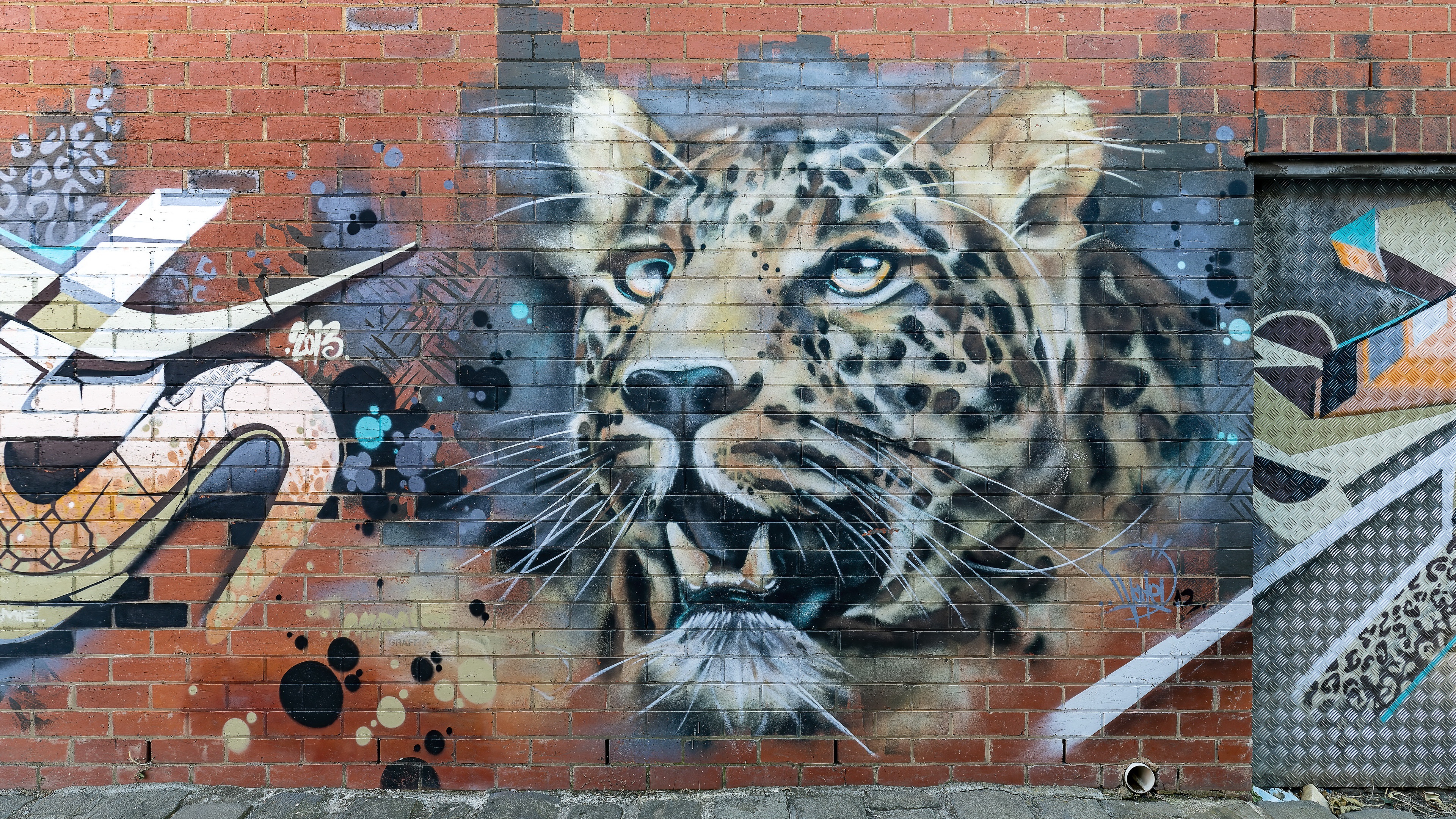 Laden Sie das Leopard, Graffiti, Mauer, Künstlerisch-Bild kostenlos auf Ihren PC-Desktop herunter