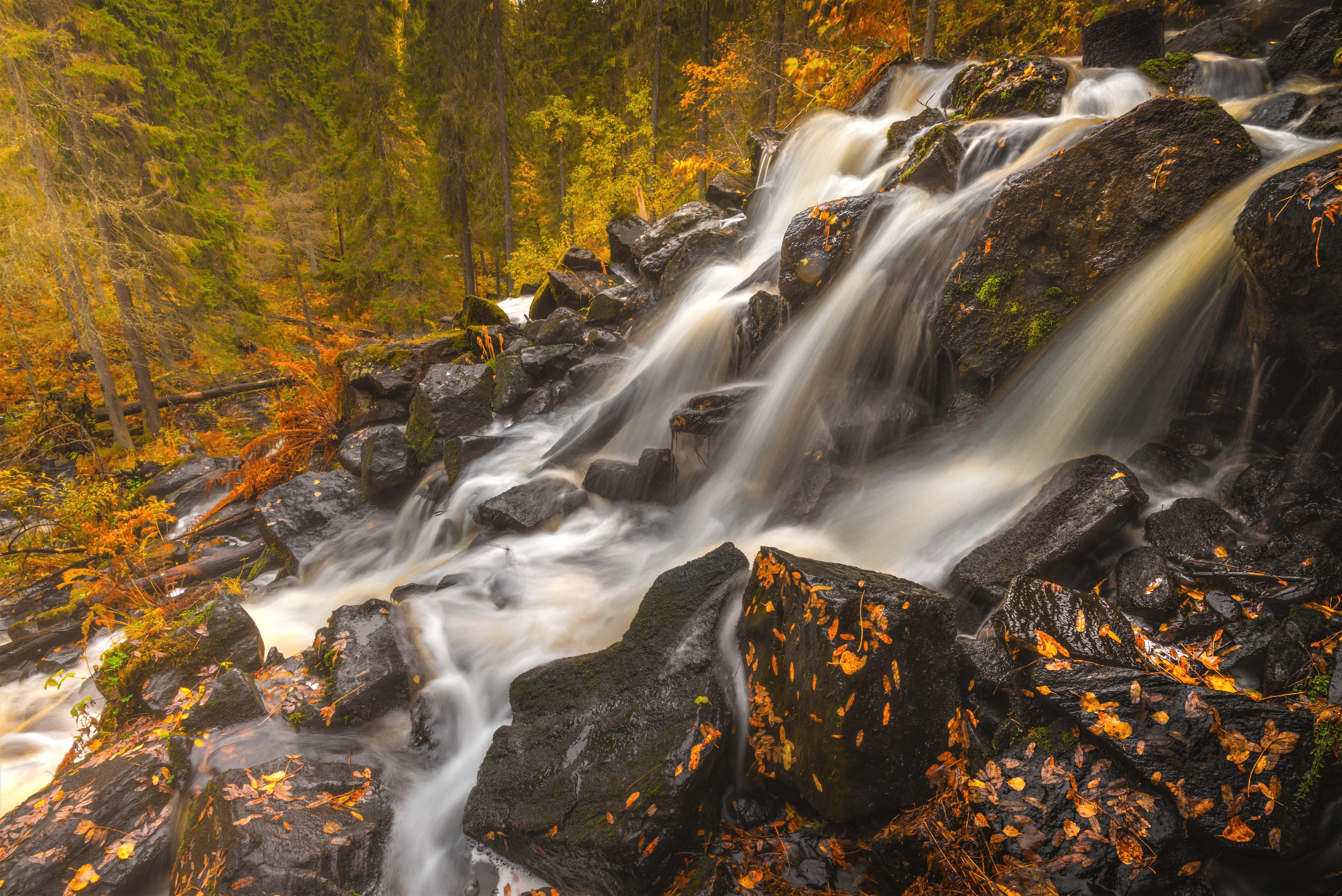 Download mobile wallpaper Waterfalls, Waterfall, Forest, Leaf, Fall, Earth for free.