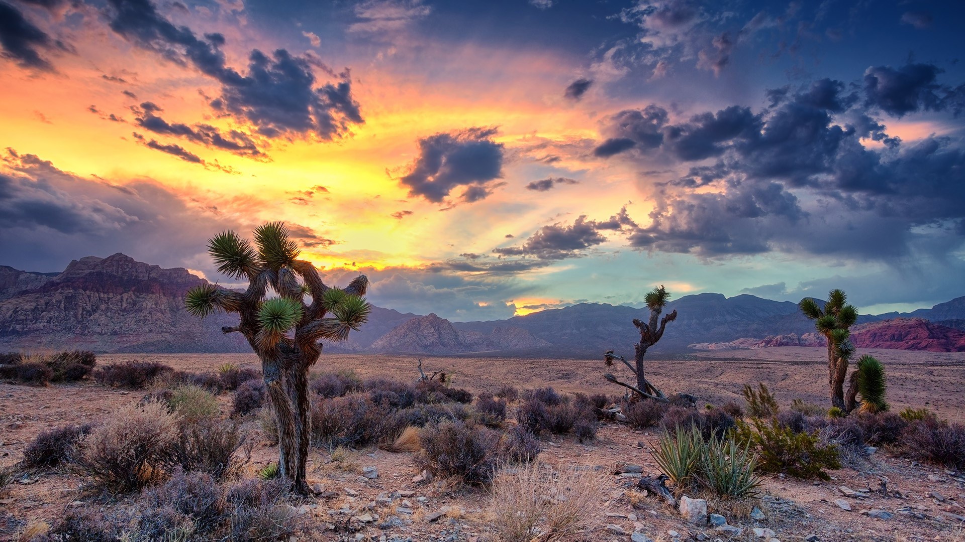 Free download wallpaper Landscape, Nature, Sunset, Sky, Desert, Usa, Mountain, Earth, Cactus, Cloud on your PC desktop