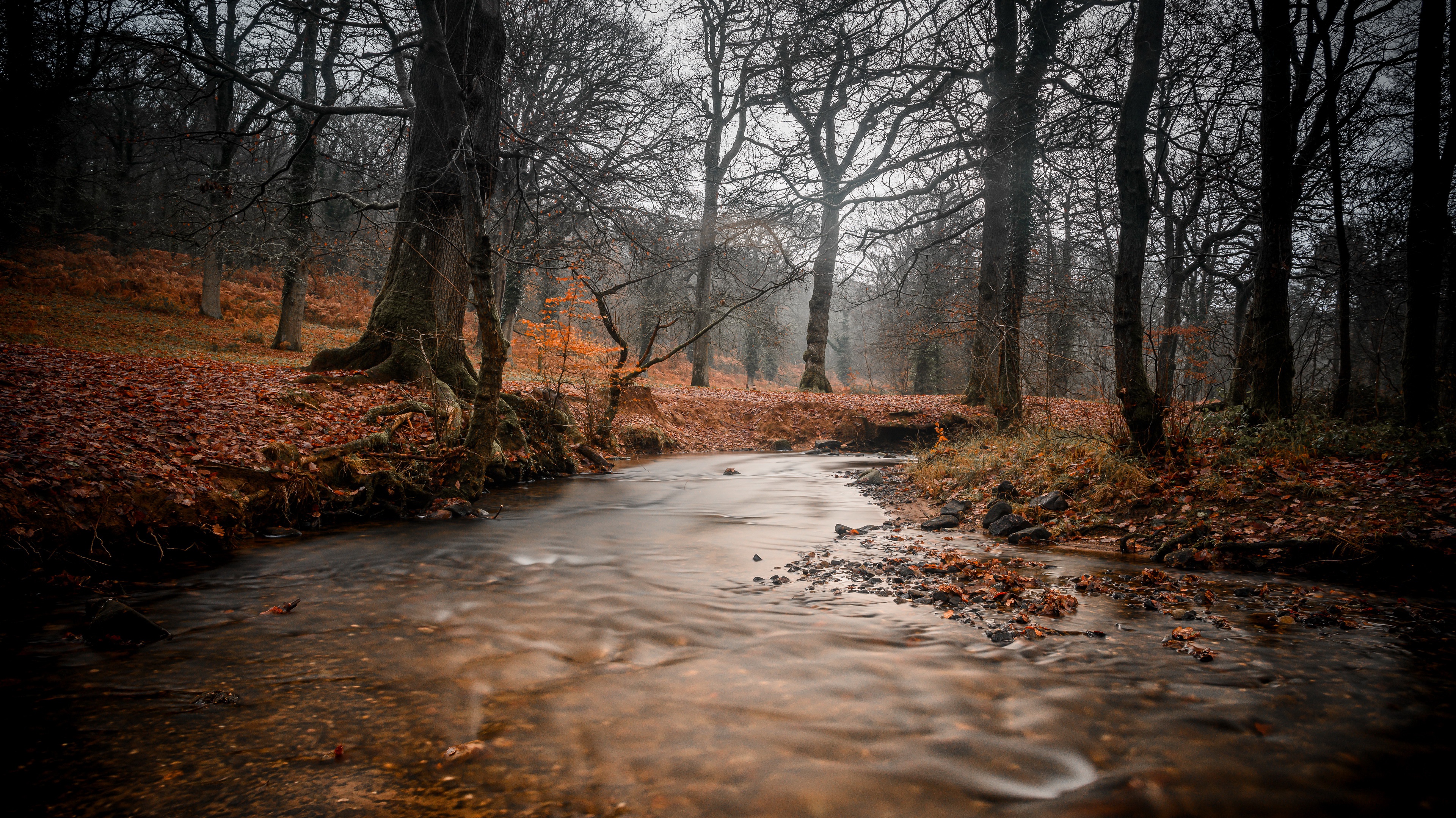 Free download wallpaper Forest, Fall, Earth, River on your PC desktop