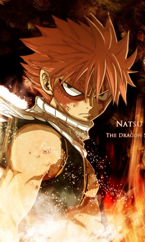 Download mobile wallpaper Anime, Fire, Warrior, Fairy Tail, Natsu Dragneel for free.