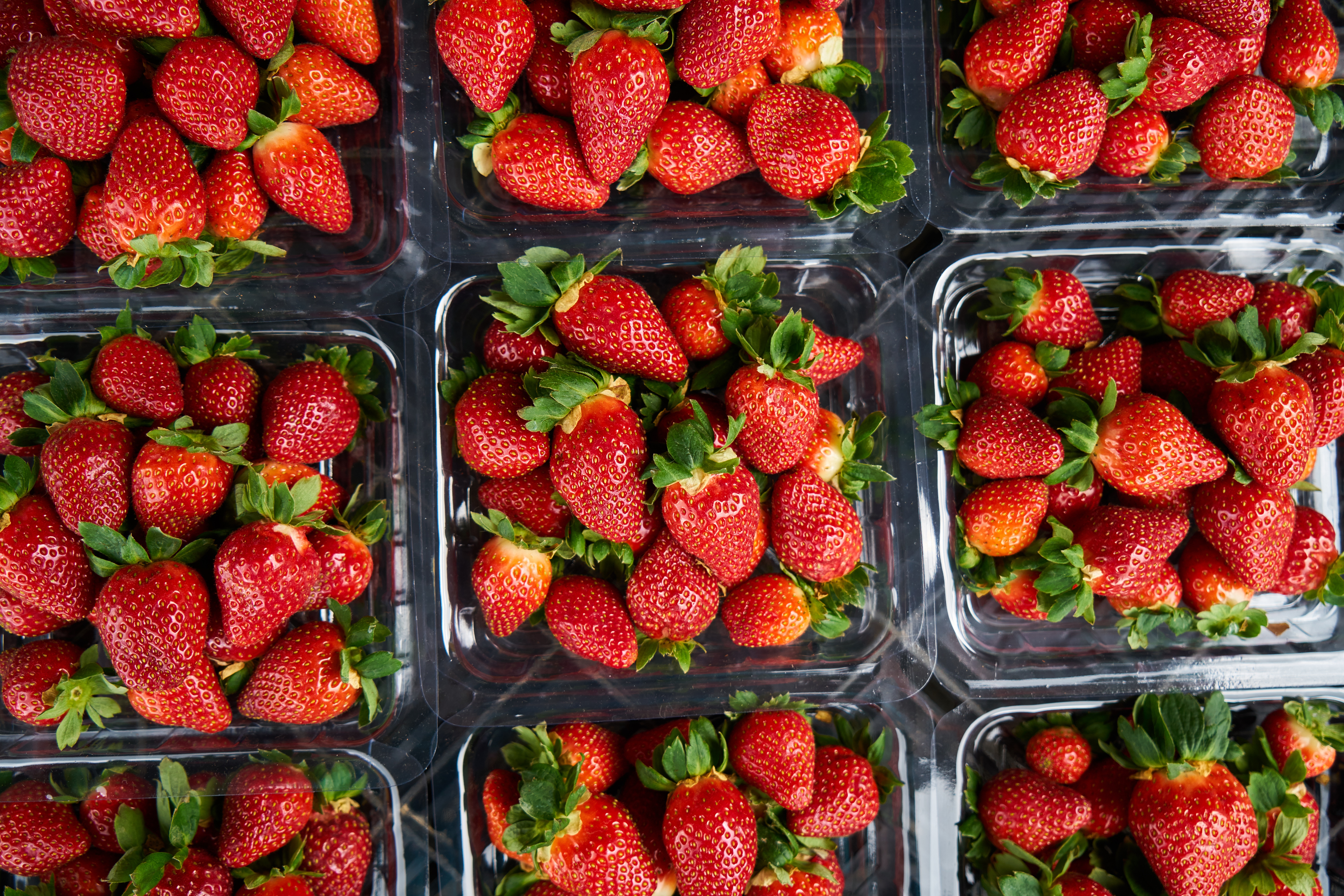 Laden Sie das Lebensmittel, Erdbeere, Berries, Reif, Saftig-Bild kostenlos auf Ihren PC-Desktop herunter