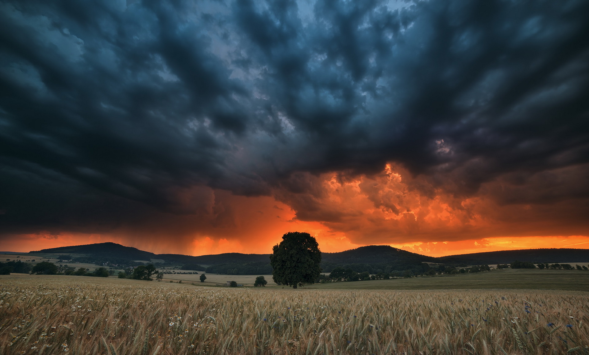 Download mobile wallpaper Landscape, Sunset, Sky, Earth, Field, Cloud, Orange (Color) for free.