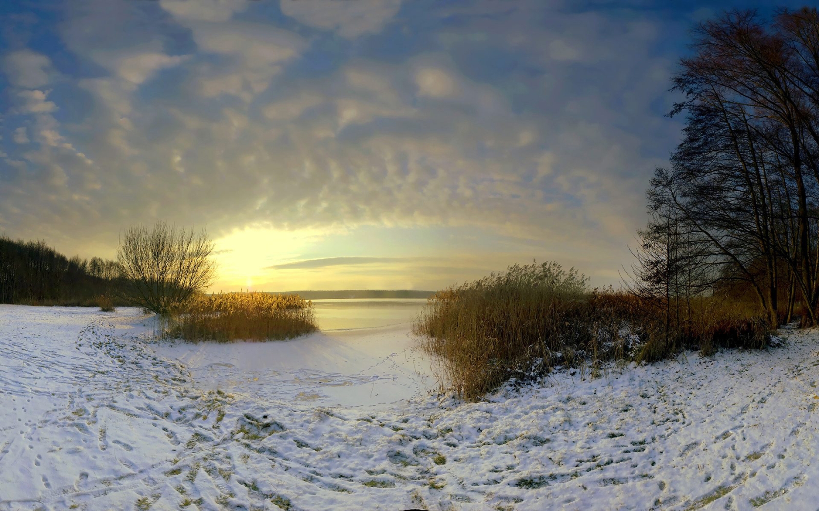 Descarga gratuita de fondo de pantalla para móvil de Invierno, Tierra/naturaleza.