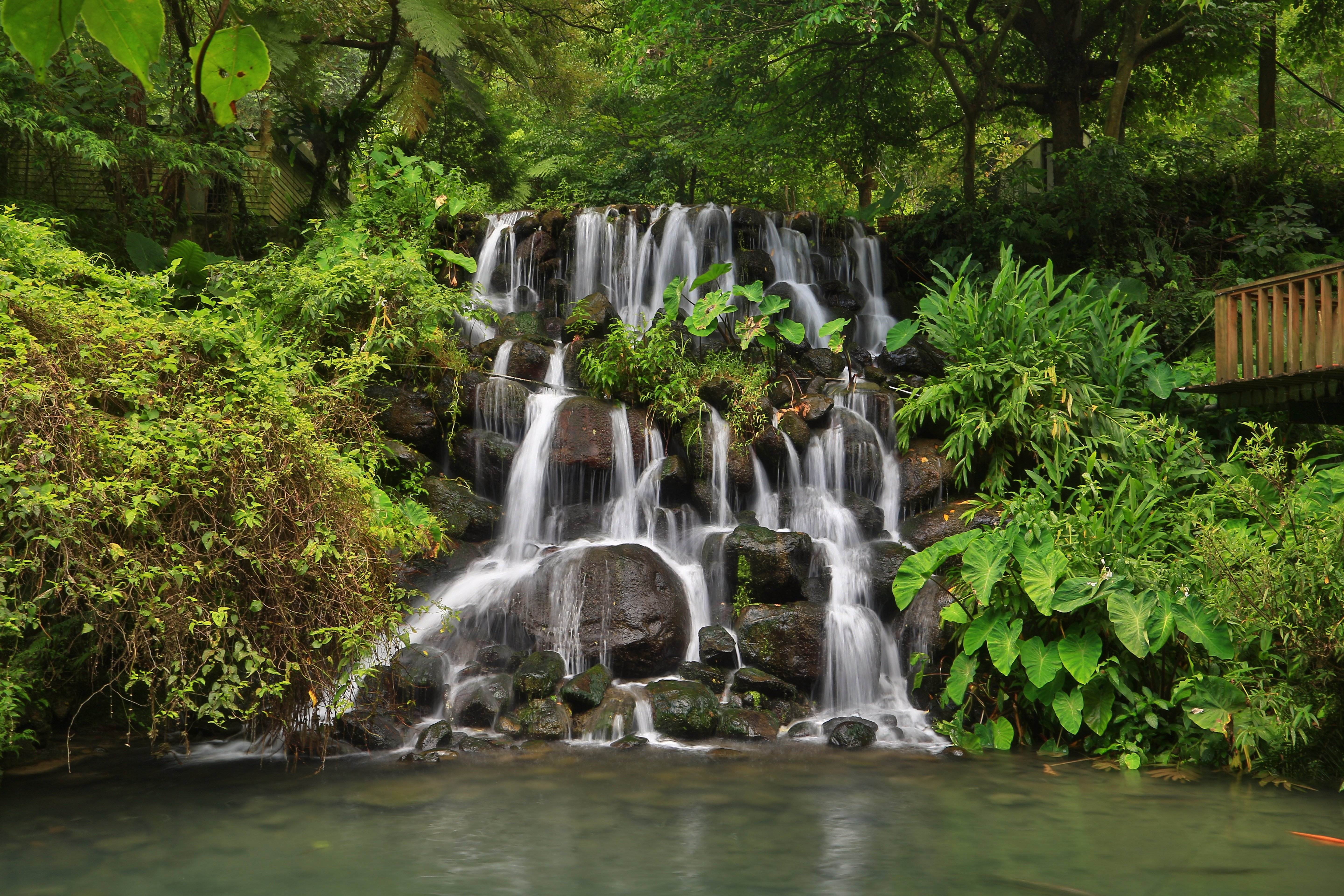 Baixe gratuitamente a imagem Cachoeiras, Vegetação, Terra/natureza, Cachoeira na área de trabalho do seu PC