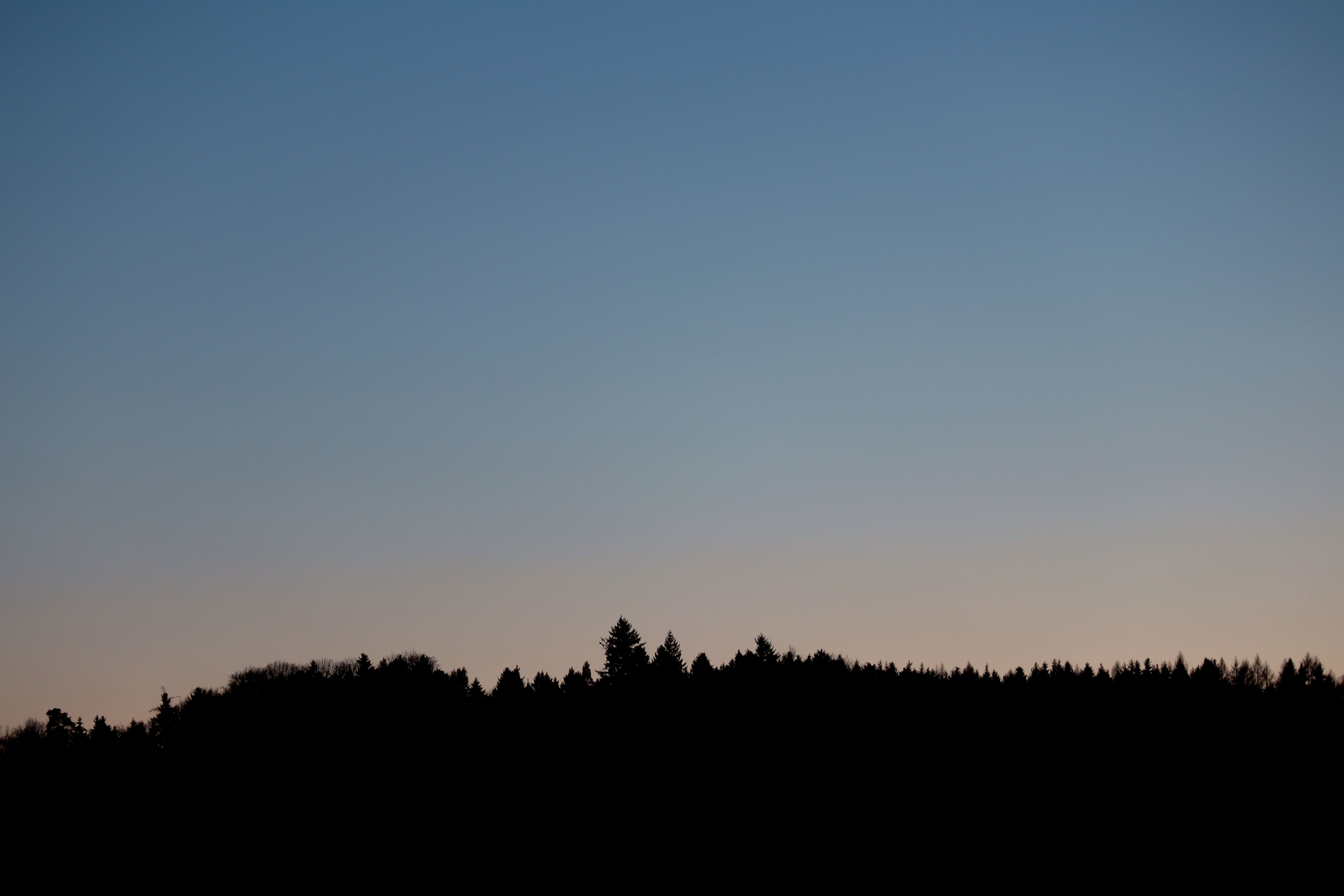 Free download wallpaper Trees, Dusk, Nature, Sunset, Forest, Twilight on your PC desktop