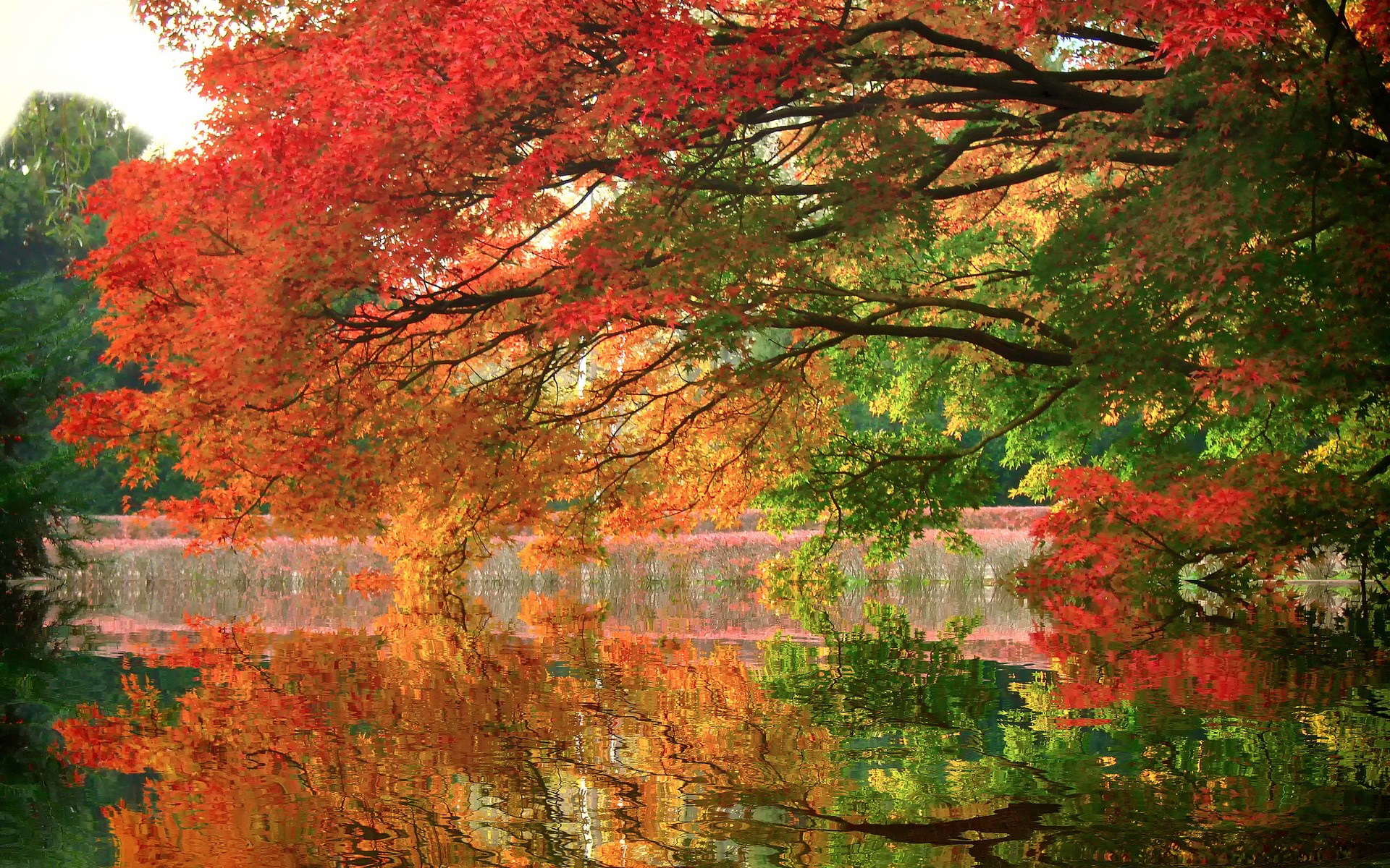 Baixe gratuitamente a imagem Rio, Terra/natureza na área de trabalho do seu PC