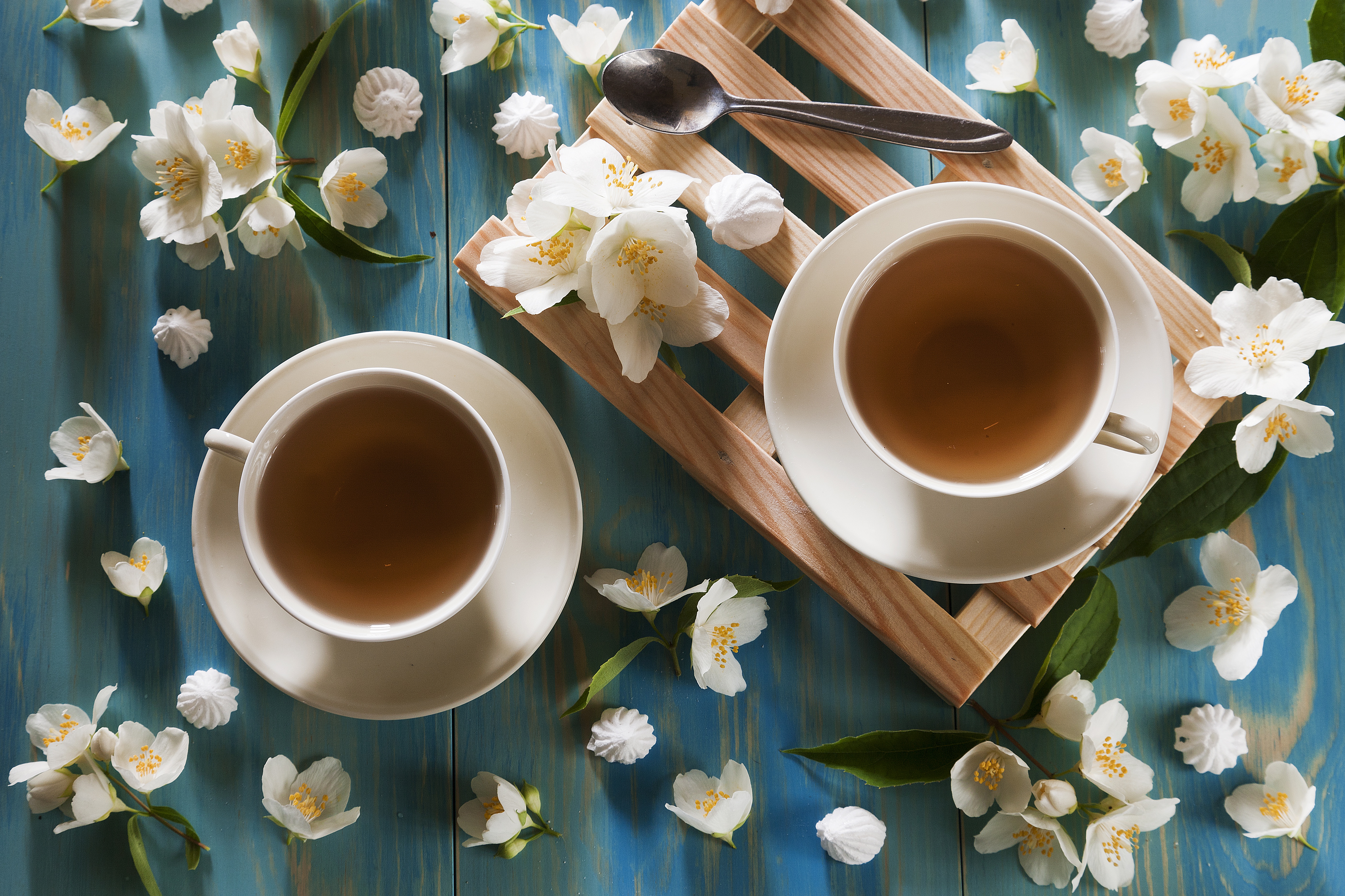 food, tea, cup, flower, jasmine, still life, white flower