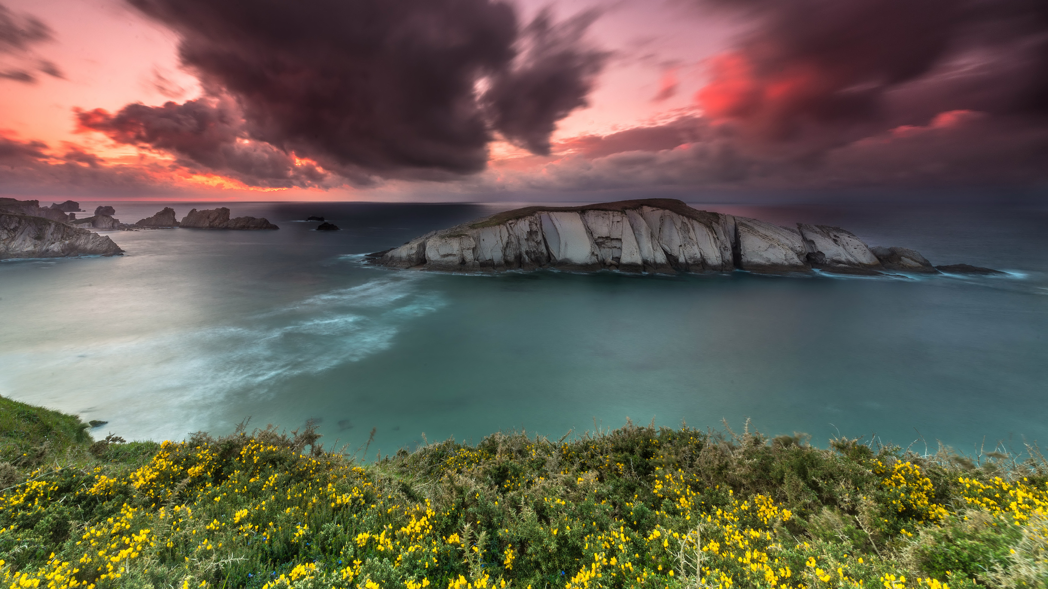 Download mobile wallpaper Sunset, Sky, Horizon, Flower, Earth, Cloud, Coastline for free.