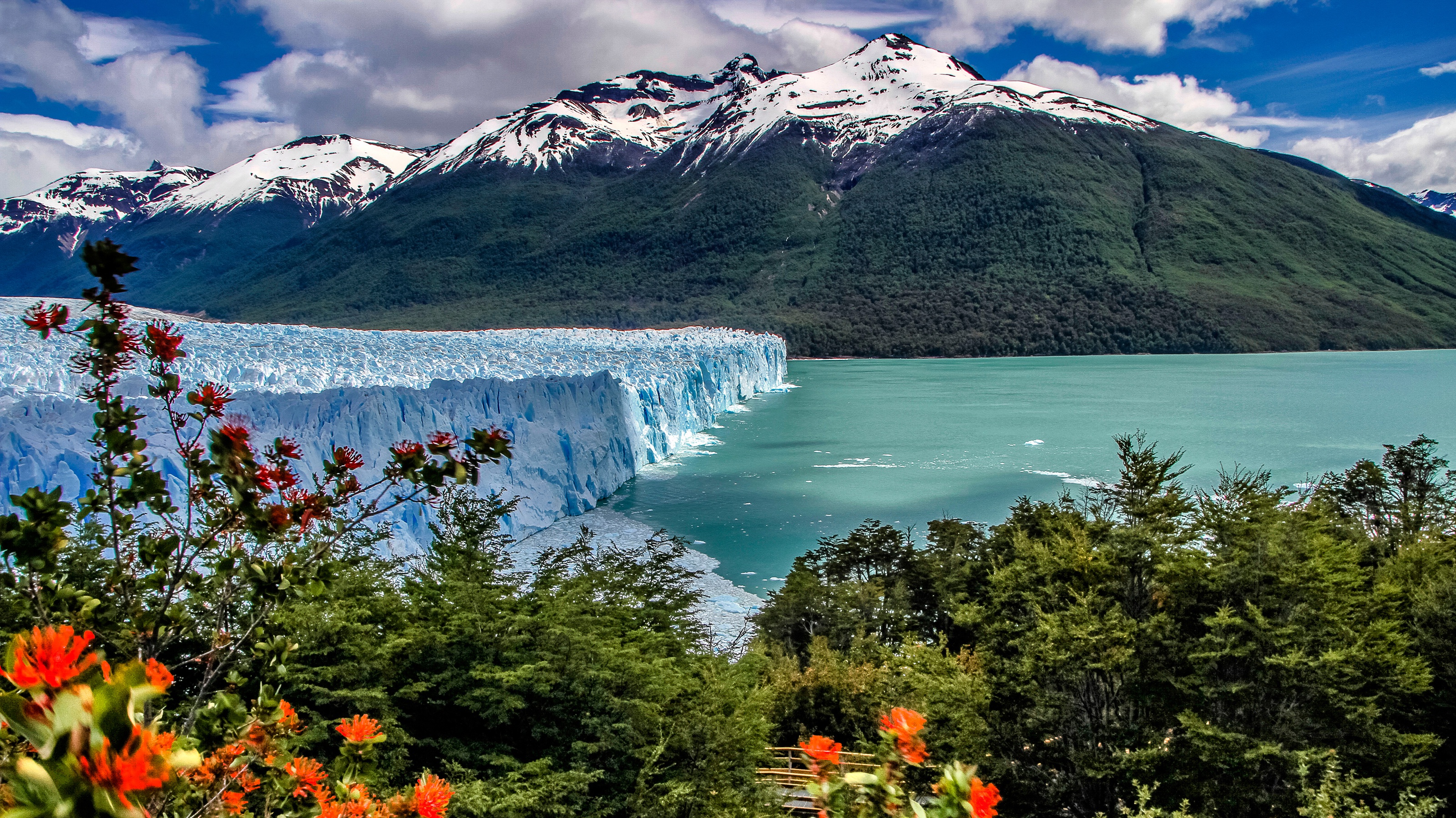 1000229 скачать картинку ледник перито морено, патагония, аргентина, земля/природа, ледник, анды, аргентинское озеро, куст, озеро, национальный парк лос гласиарес, гора - обои и заставки бесплатно