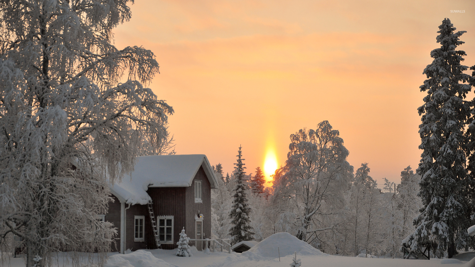 Скачать обои бесплатно Зима, Снег, Дерево, Фотографии, Закат Солнца картинка на рабочий стол ПК