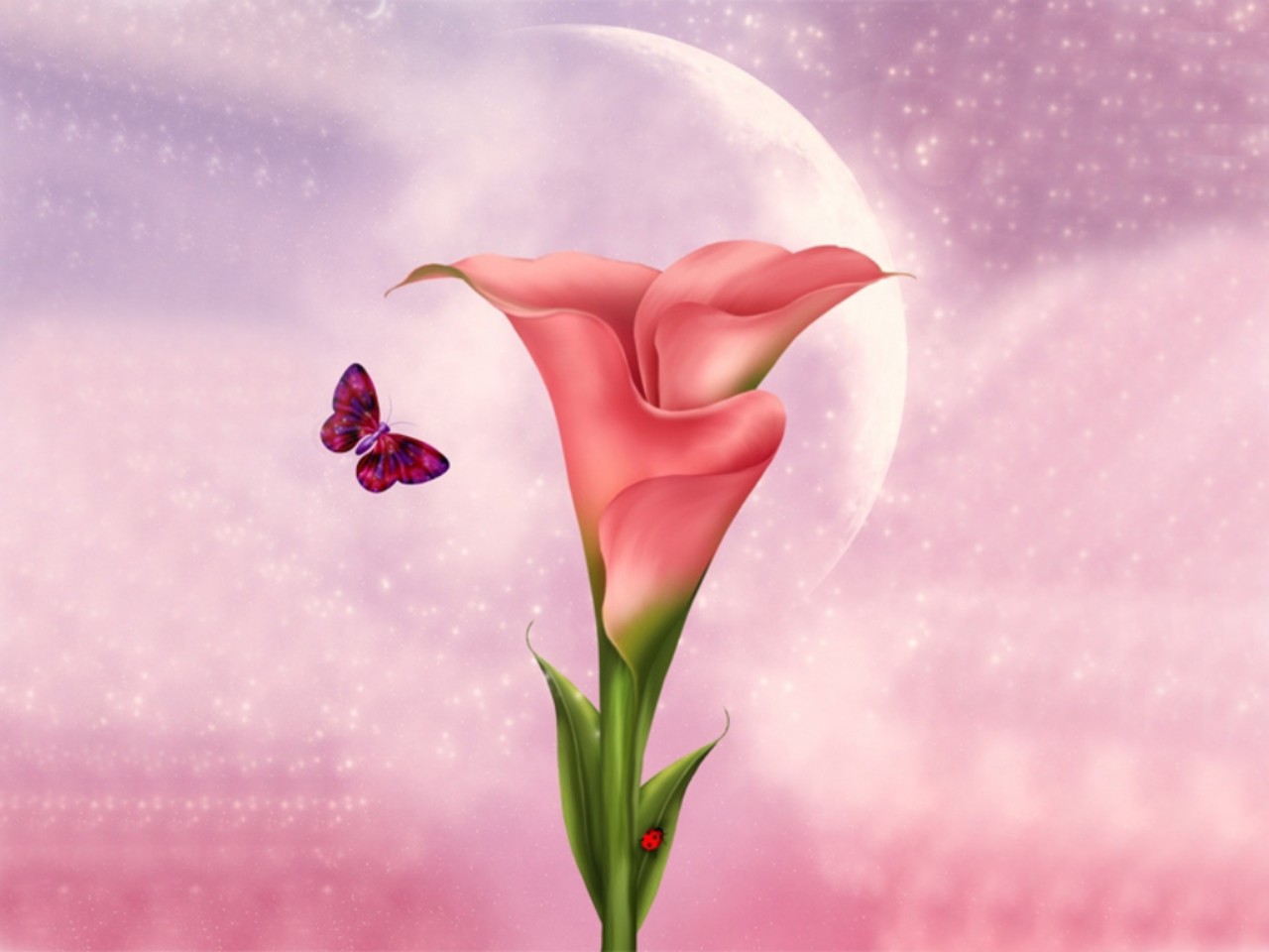 Скачать обои бесплатно Цветок, Бабочка, Розовый, Художественные картинка на рабочий стол ПК