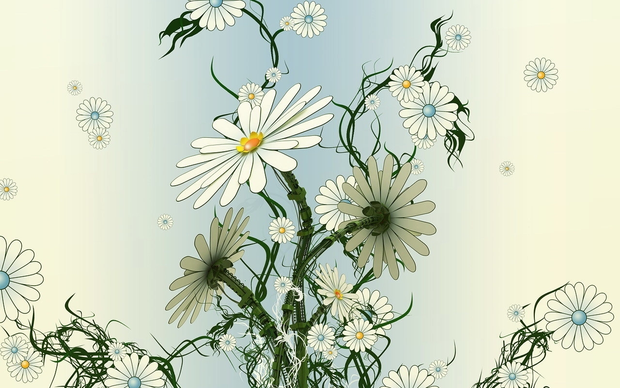Handy-Wallpaper Blumen, Kamille, Bilder kostenlos herunterladen.
