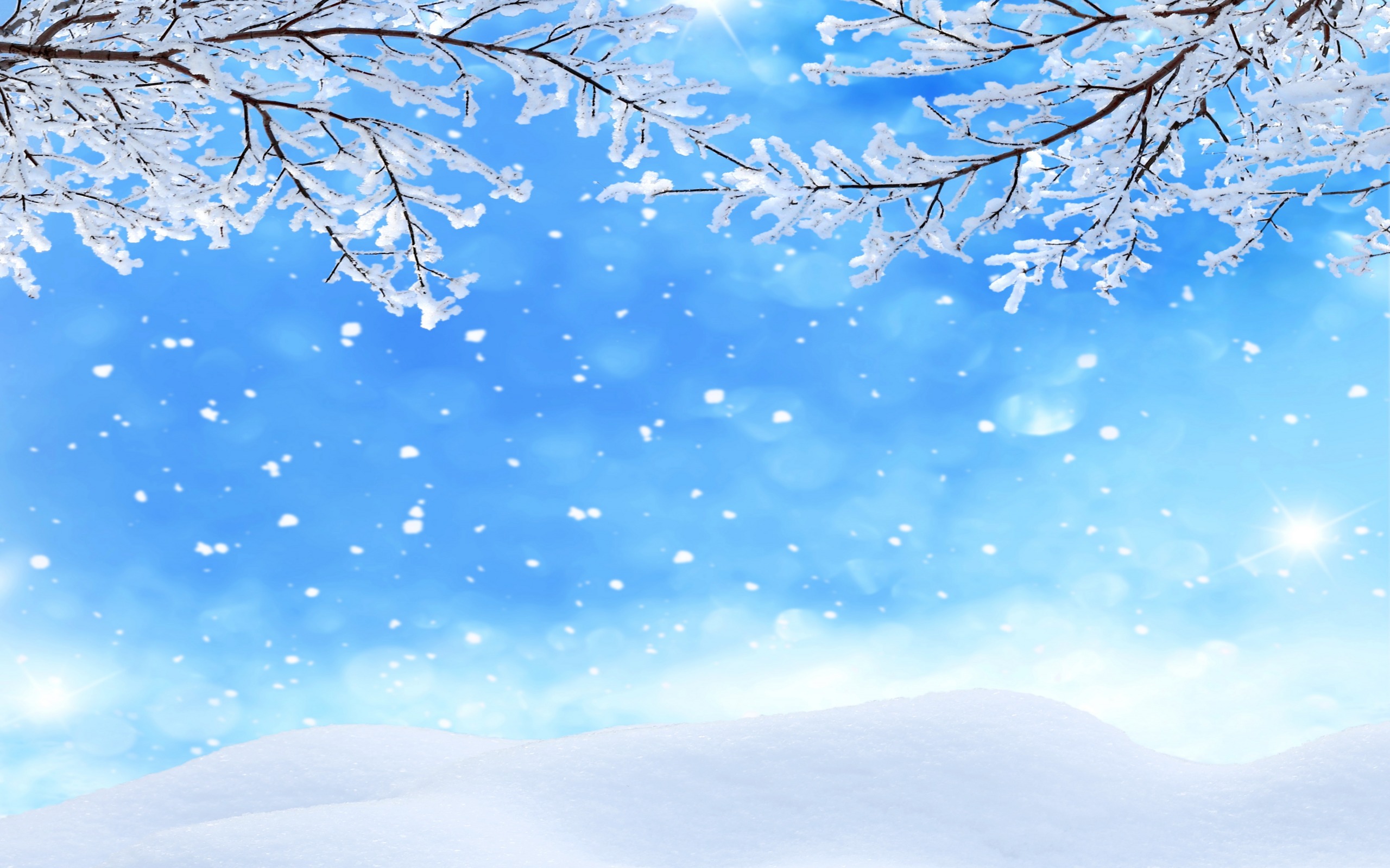 Free download wallpaper Winter, Snow, Branch, Artistic on your PC desktop