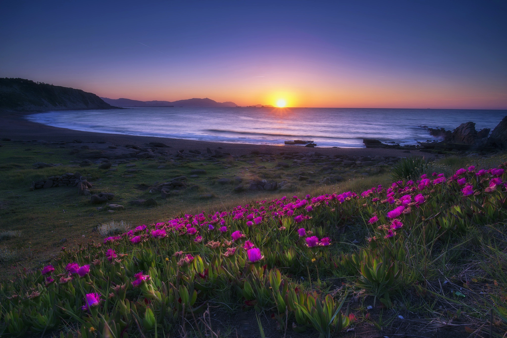 Descarga gratuita de fondo de pantalla para móvil de Naturaleza, Amanecer, Horizonte, Flor, Costa, Océano, Flor Purpura, Tierra/naturaleza.