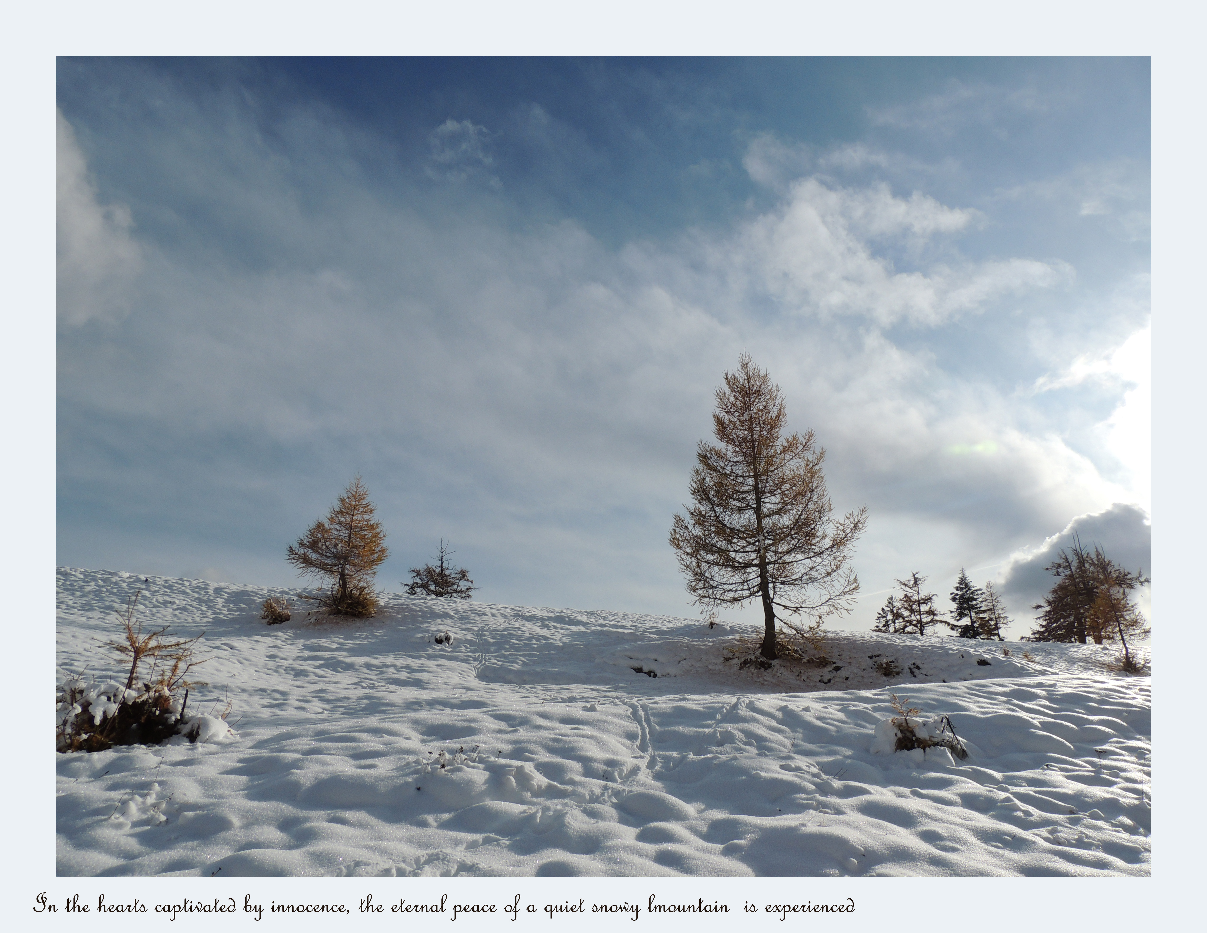 Handy-Wallpaper Winter, Erde/natur kostenlos herunterladen.