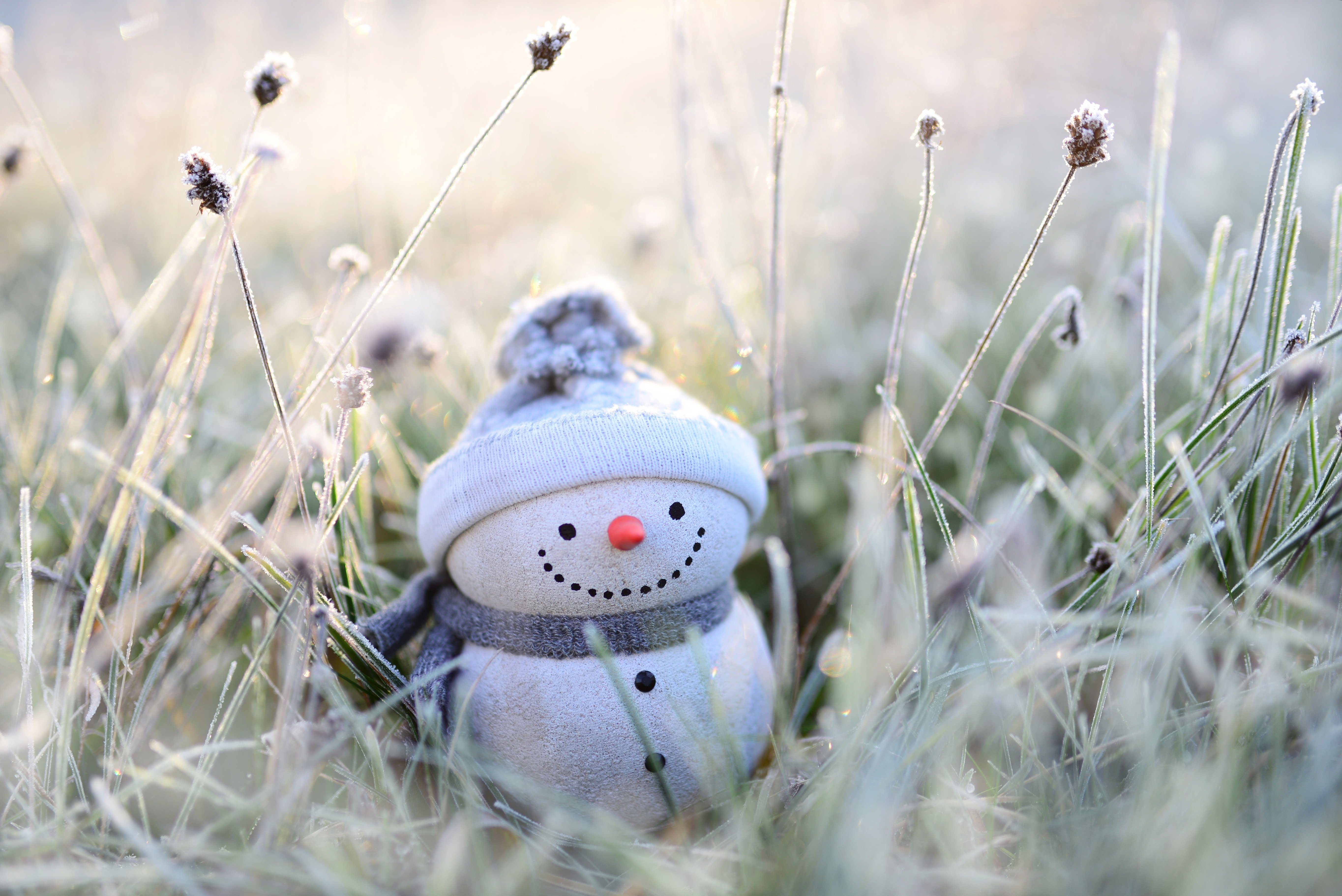 Download mobile wallpaper Winter, Snowman, Christmas, Decoration, Photography for free.