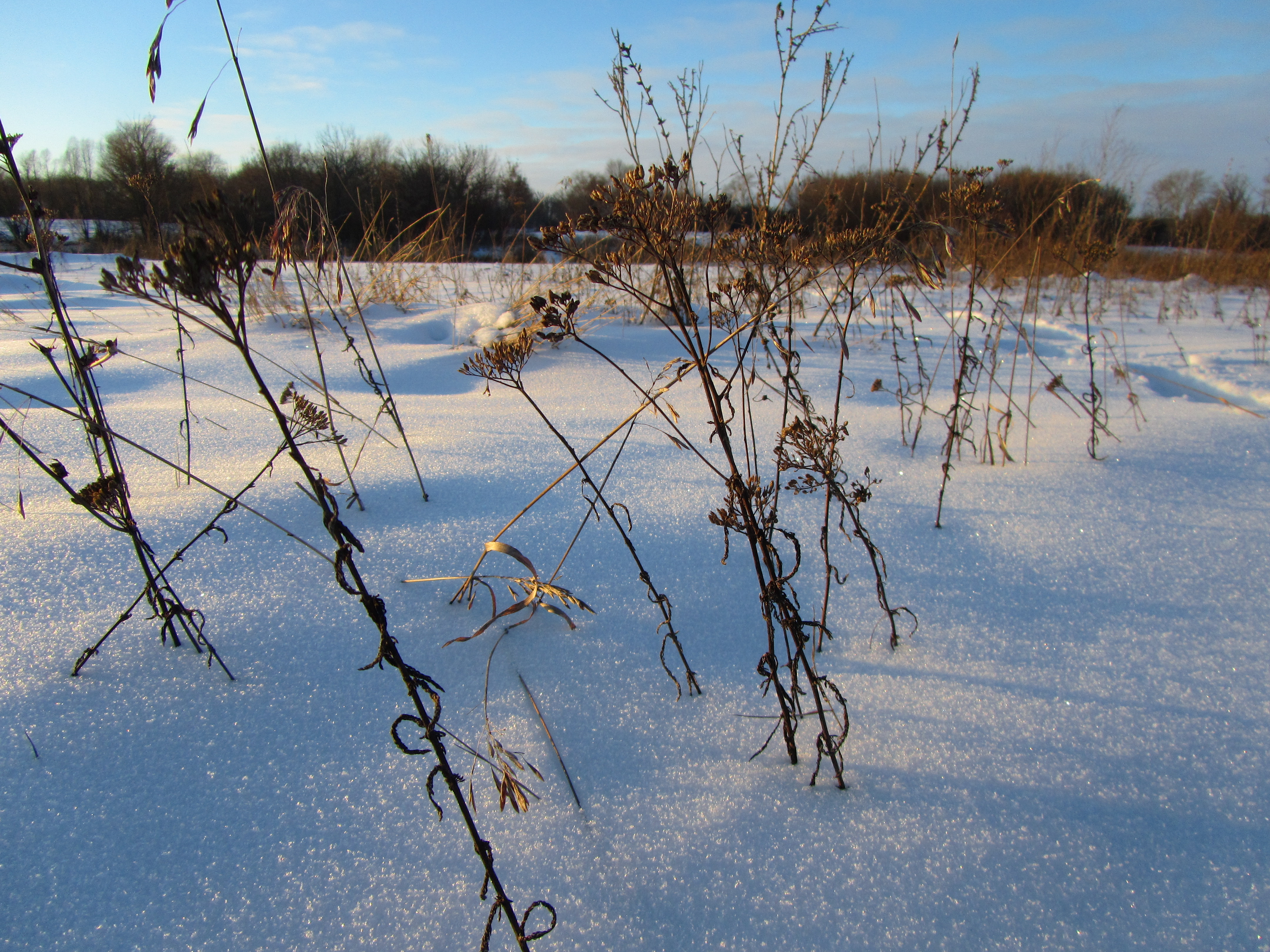 Free download wallpaper Winter, Earth on your PC desktop