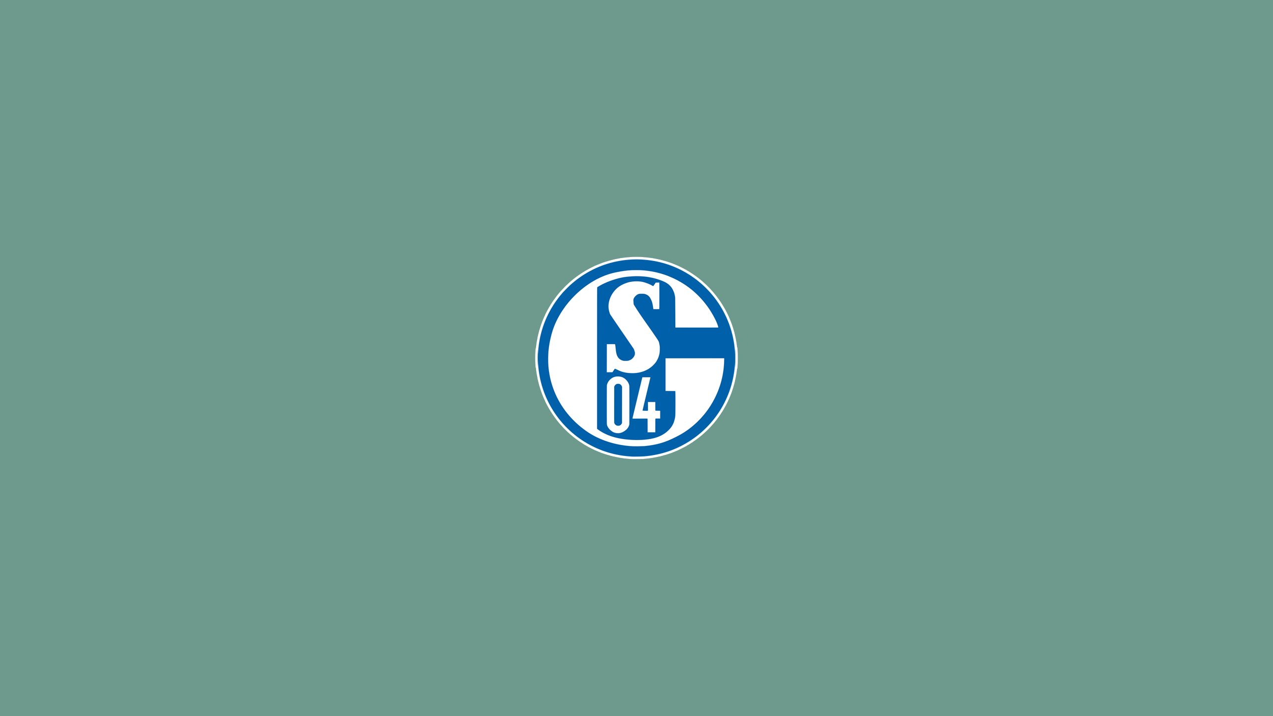 Téléchargez des papiers peints mobile Logo, Des Sports, Emblème, Football, Fc Schalke 04 gratuitement.