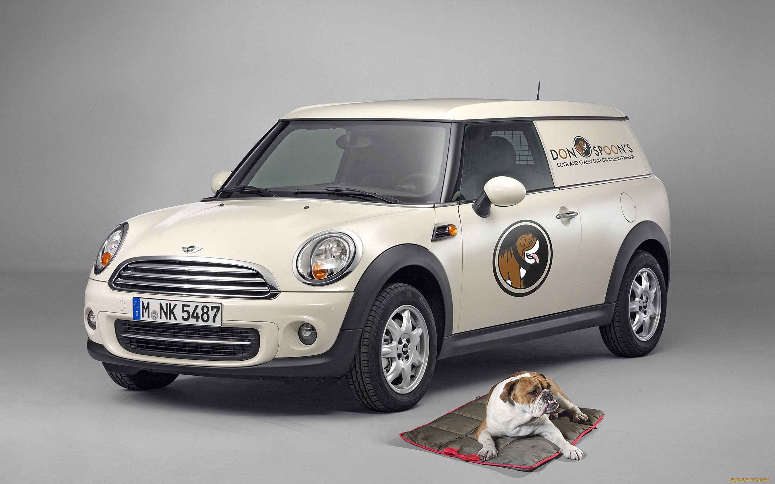 Download mobile wallpaper Transport, Animals, Auto, Dogs, Mini Cooper for free.