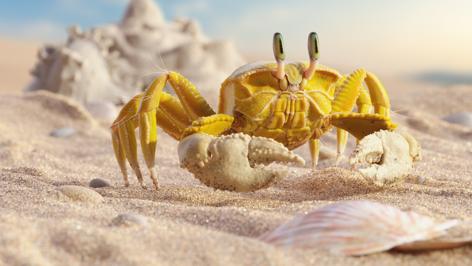 Free download wallpaper Sand, Animal, Crab on your PC desktop