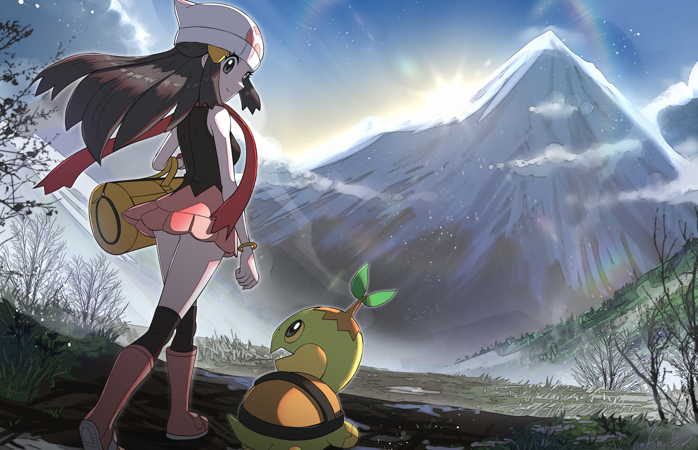 Baixe gratuitamente a imagem Anime, Pokémon, Dawn (Pokémon), Turtwig (Pokémon) na área de trabalho do seu PC