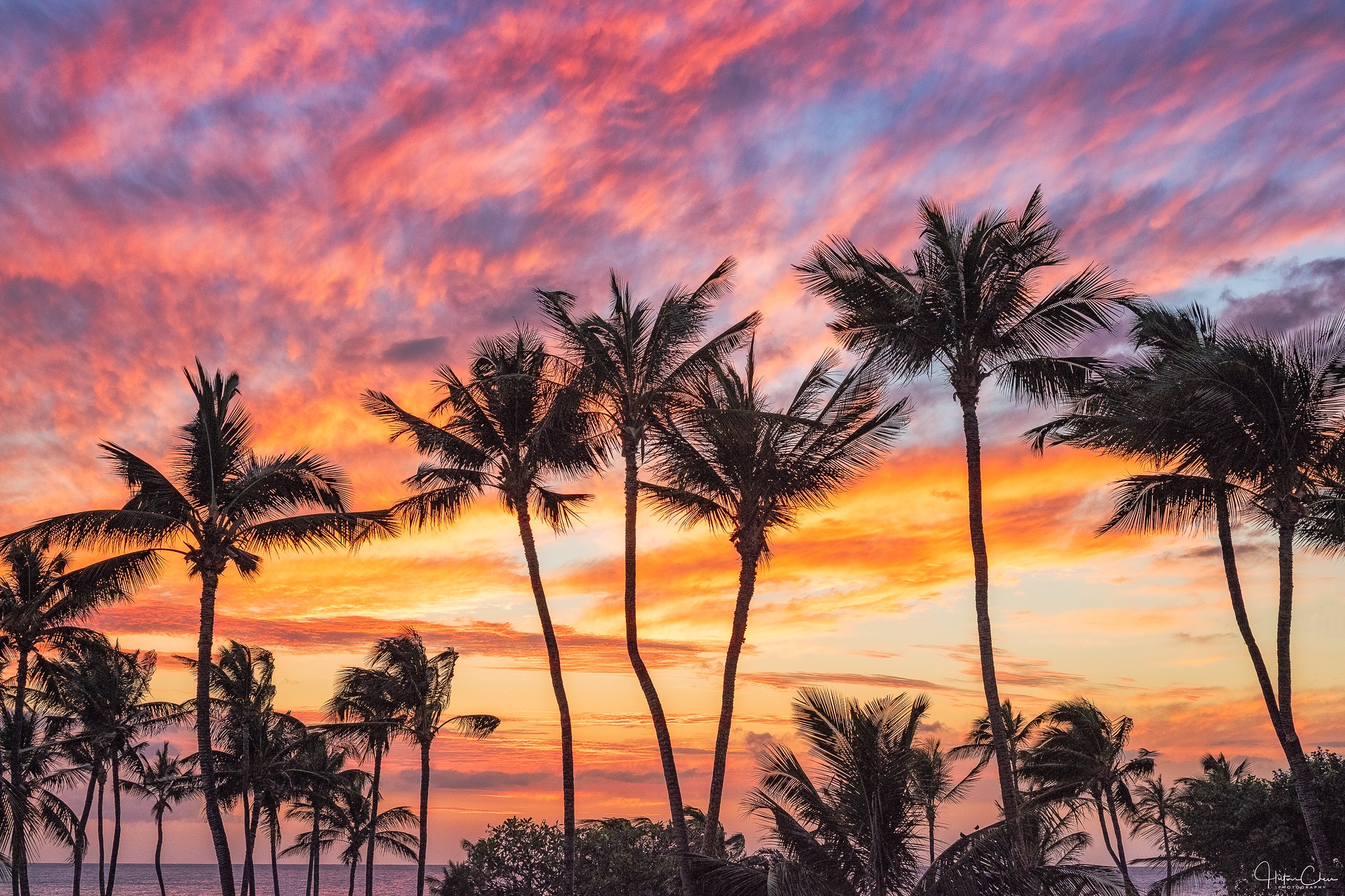 Free download wallpaper Nature, Sunset, Sky, Earth, Cloud, Palm Tree on your PC desktop
