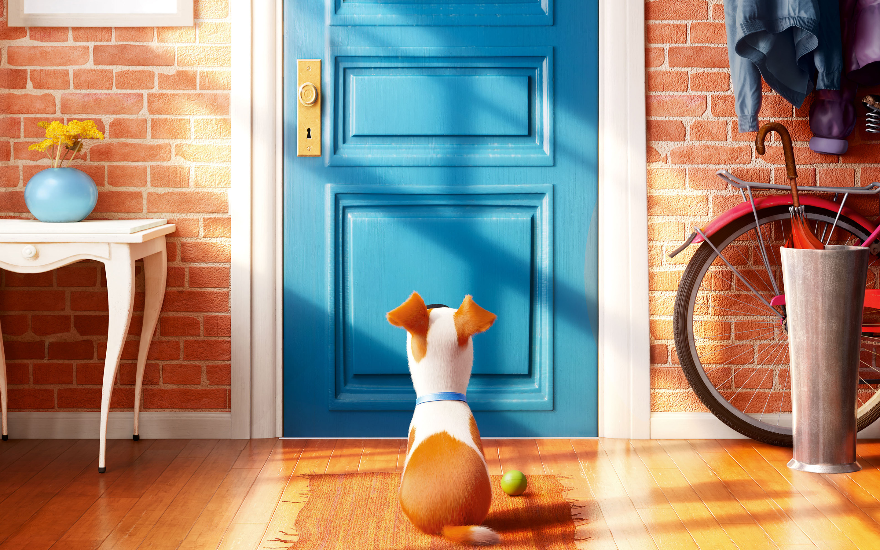 the secret life of pets, movie, dog, door, max (the secret life of pets)