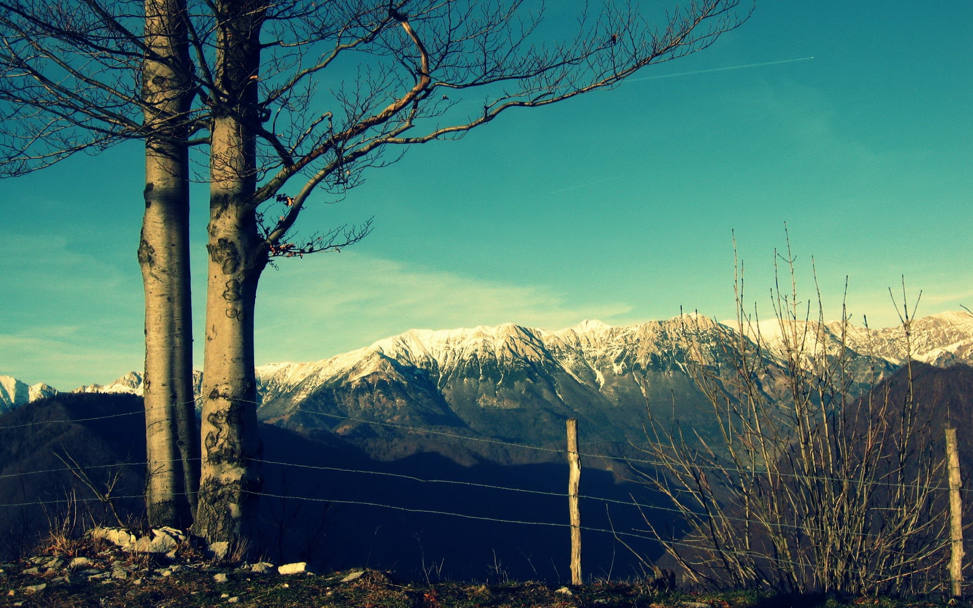 Baixe gratuitamente a imagem Inverno, Terra/natureza na área de trabalho do seu PC