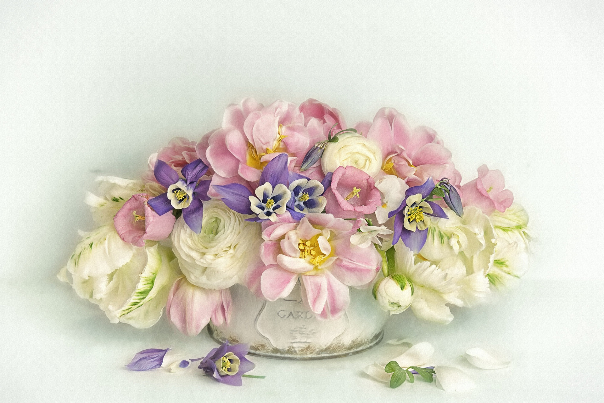 965014壁紙のダウンロードラナンキュラ, 芸術的, ペインティング, 花, ピンクの花, 白い花-スクリーンセーバーと写真を無料で