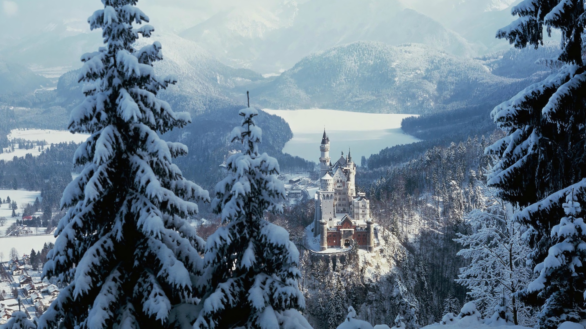 Скачати мобільні шпалери Зима, Сніг, Замки, Ліс, Німеччина, Замок Нойшванштайн, Створено Людиною безкоштовно.