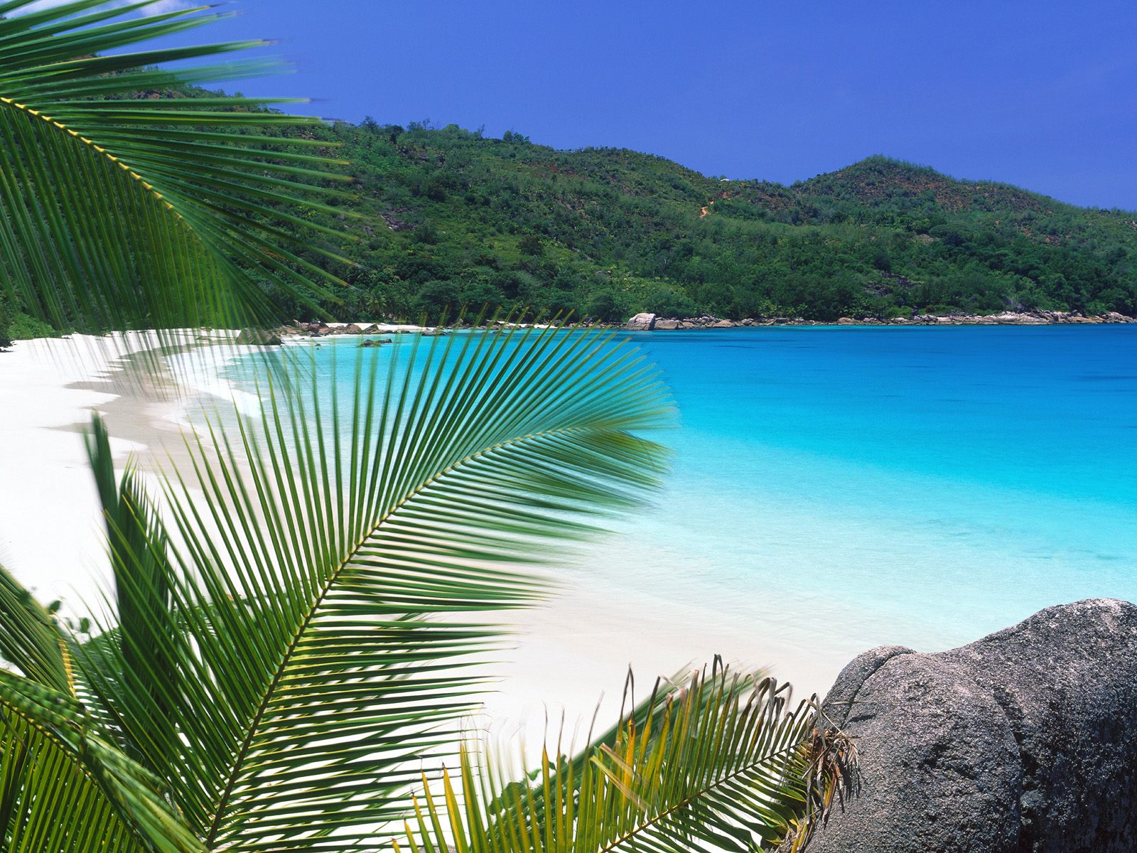 Baixe gratuitamente a imagem Natureza, Praia, Palmeira, Tropical, Terra/natureza na área de trabalho do seu PC