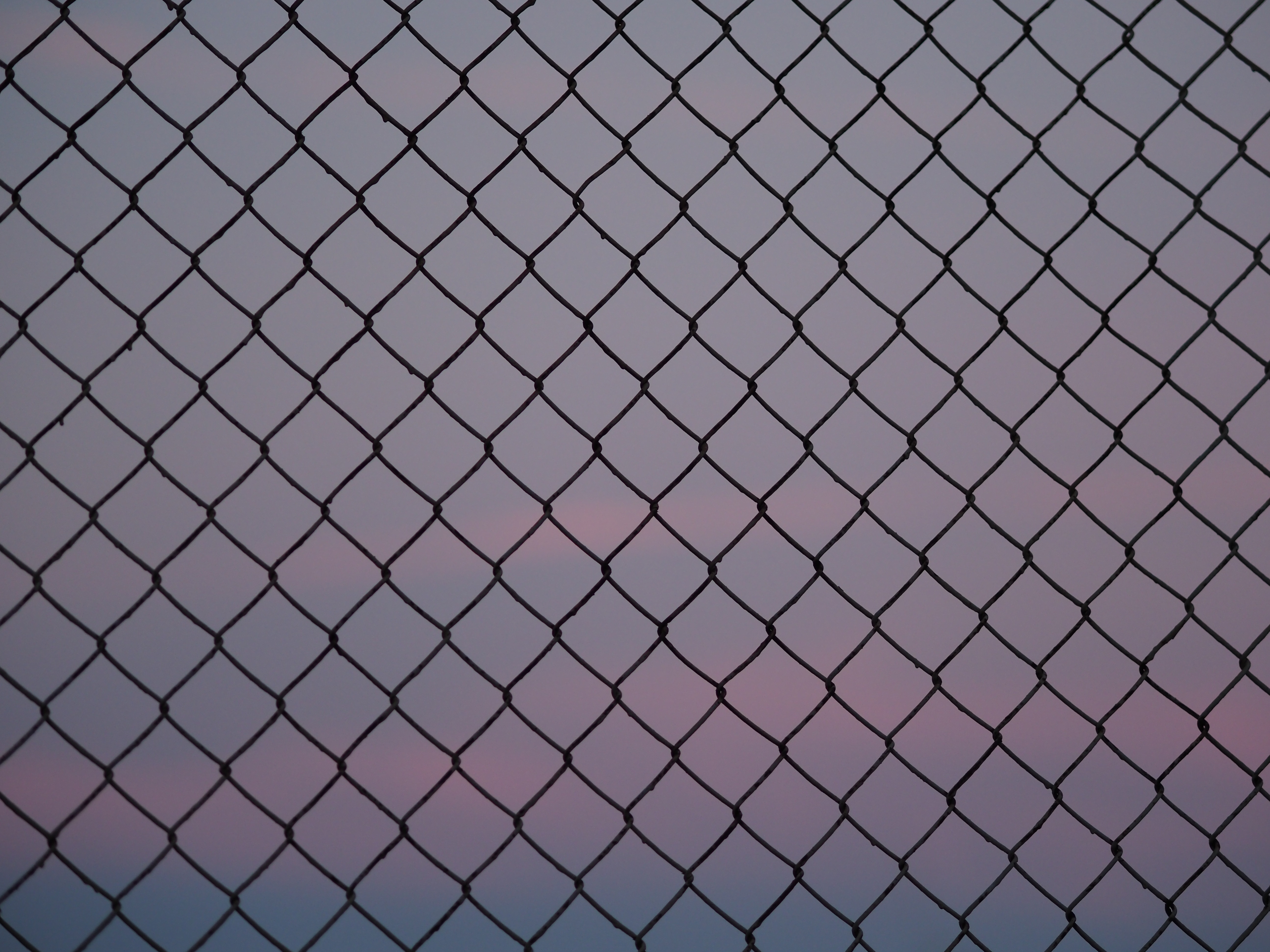 background, miscellanea, miscellaneous, grid, fence, lattice, trellis