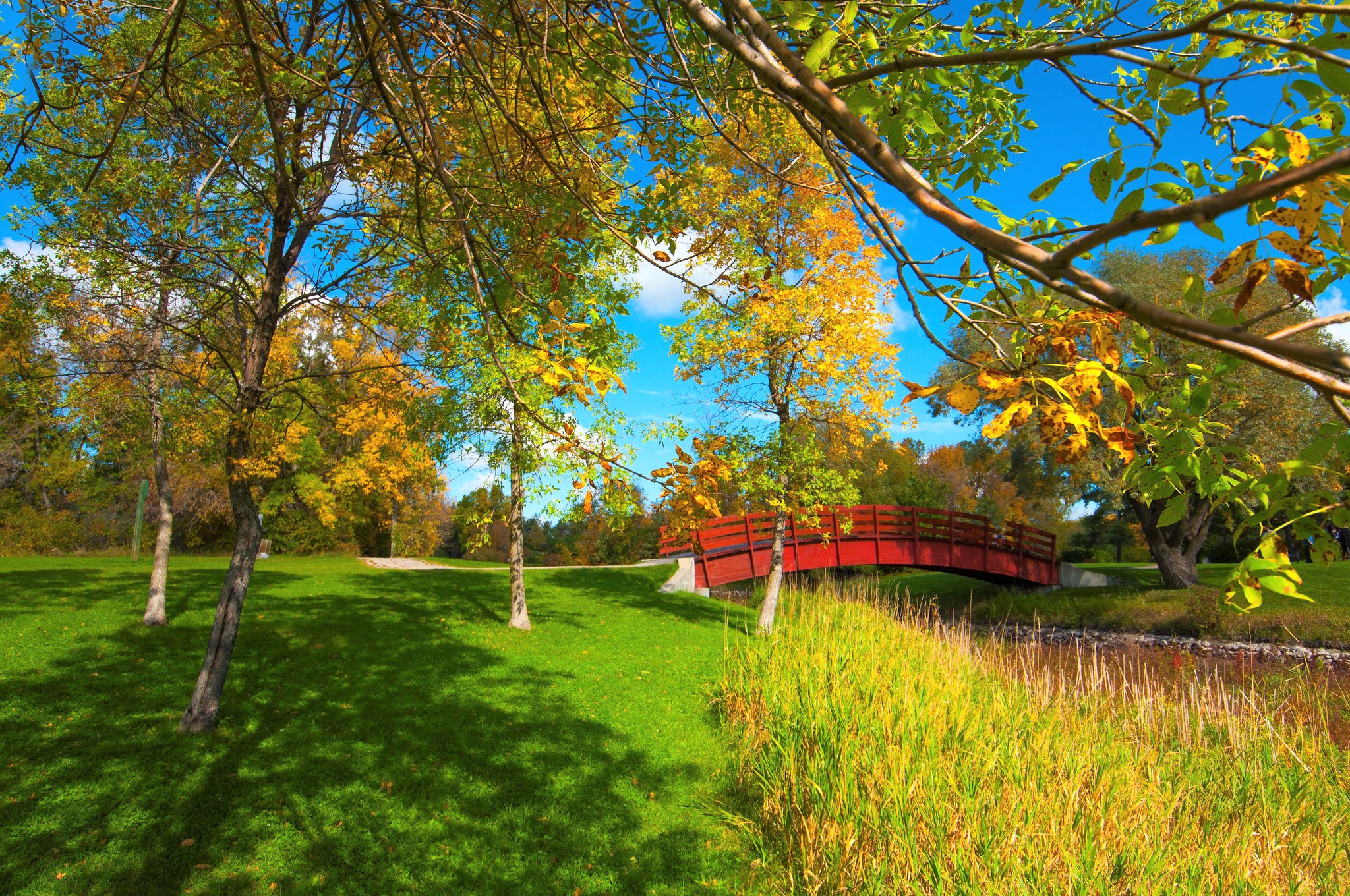 Laden Sie das Herbst, Park, Baum, Brücke, Brücken, Menschengemacht-Bild kostenlos auf Ihren PC-Desktop herunter