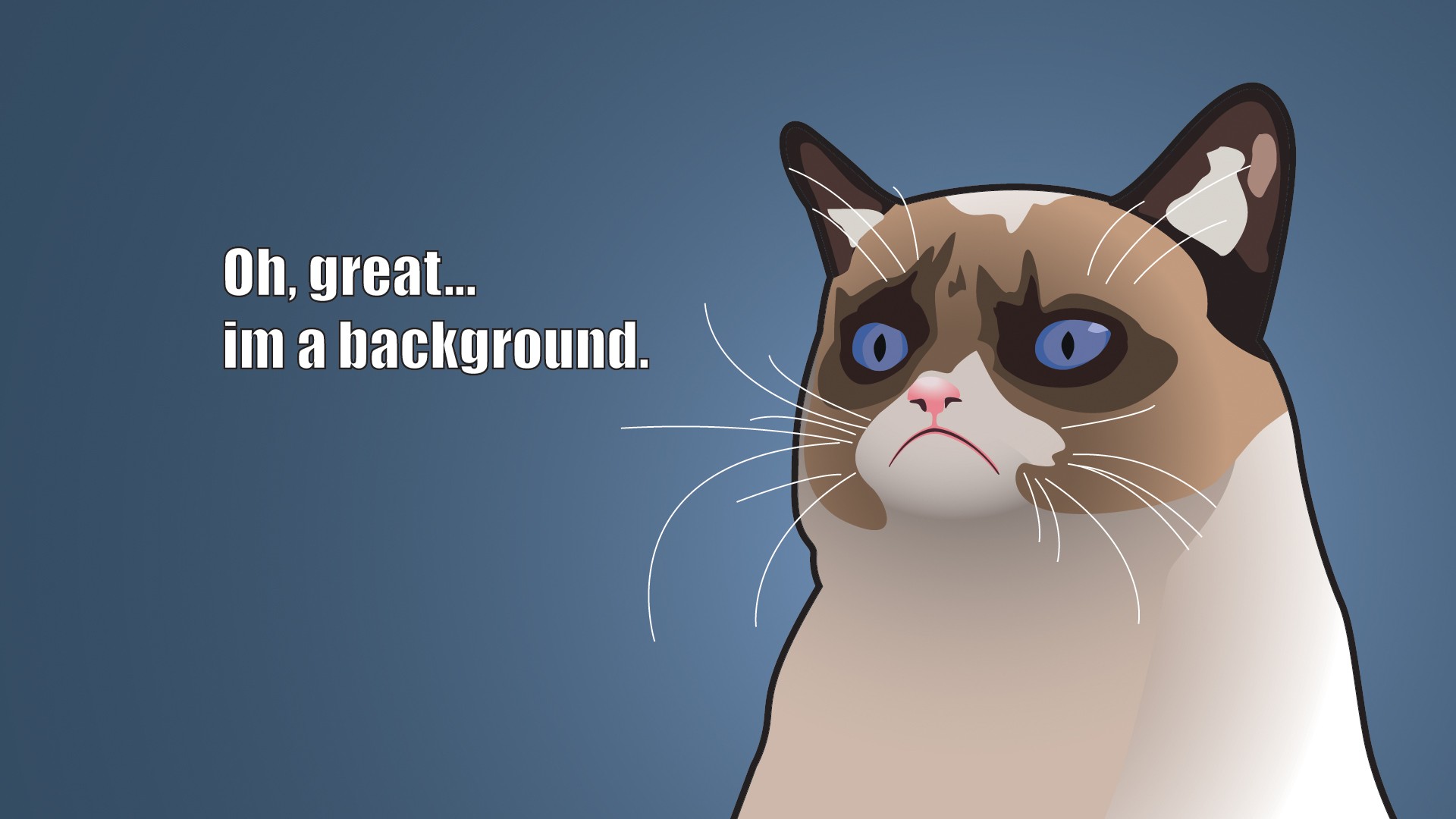 338503 descargar fondo de pantalla humor, gato, gato gruñón, gatos: protectores de pantalla e imágenes gratis