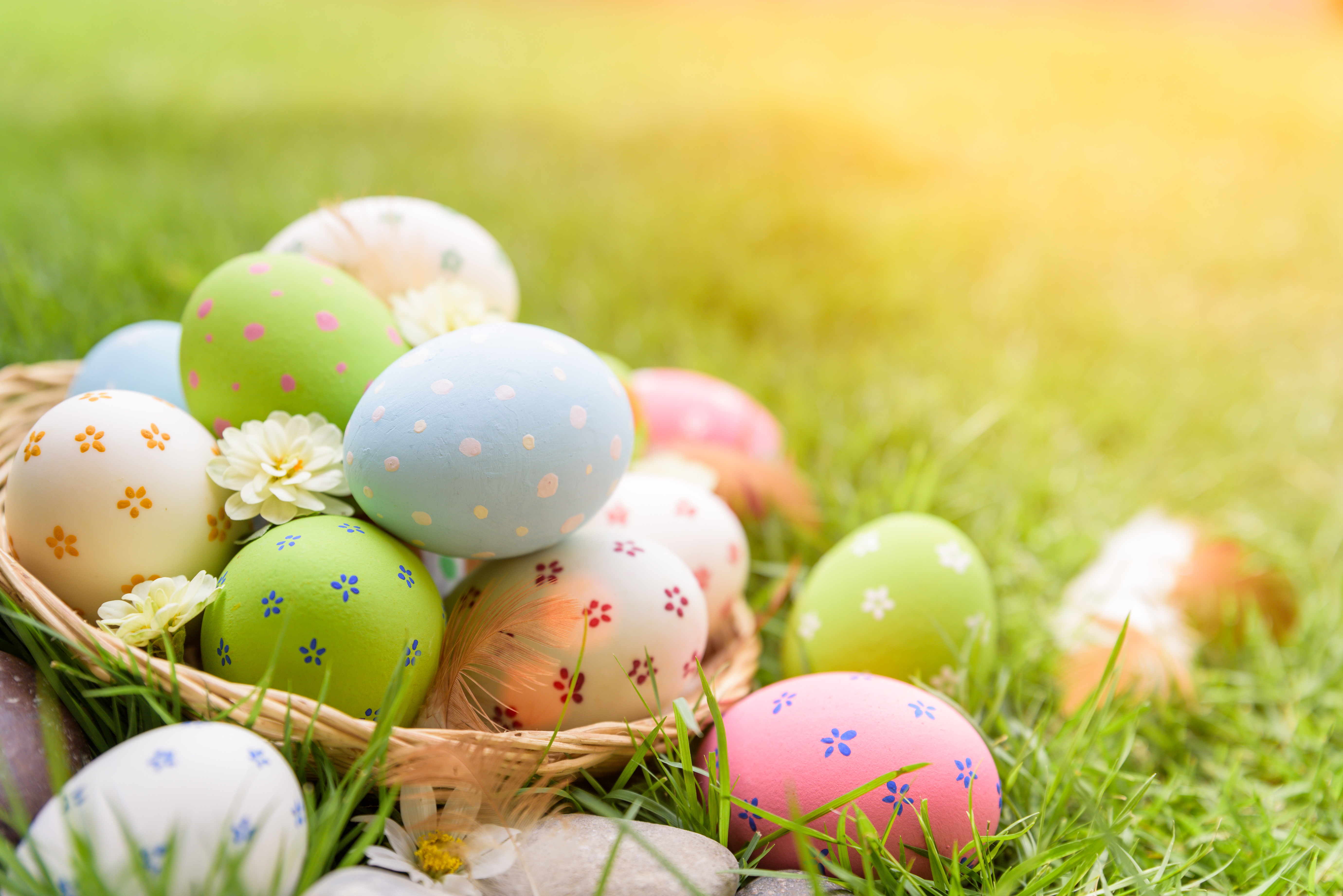 Laden Sie das Feiertage, Ostern, Osterei-Bild kostenlos auf Ihren PC-Desktop herunter