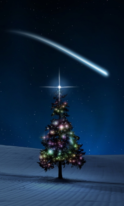 Download mobile wallpaper Christmas, Holiday, Christmas Tree for free.